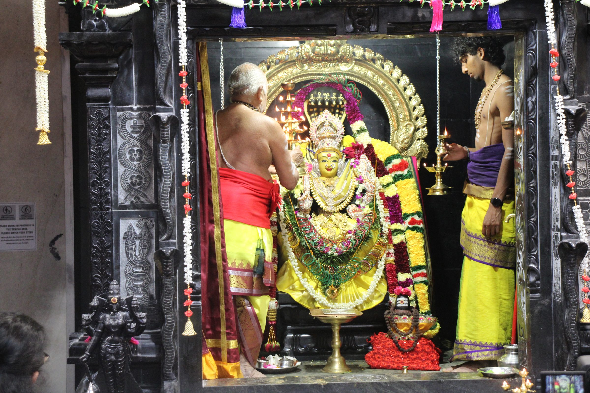 Ambal Festival 2026 photo