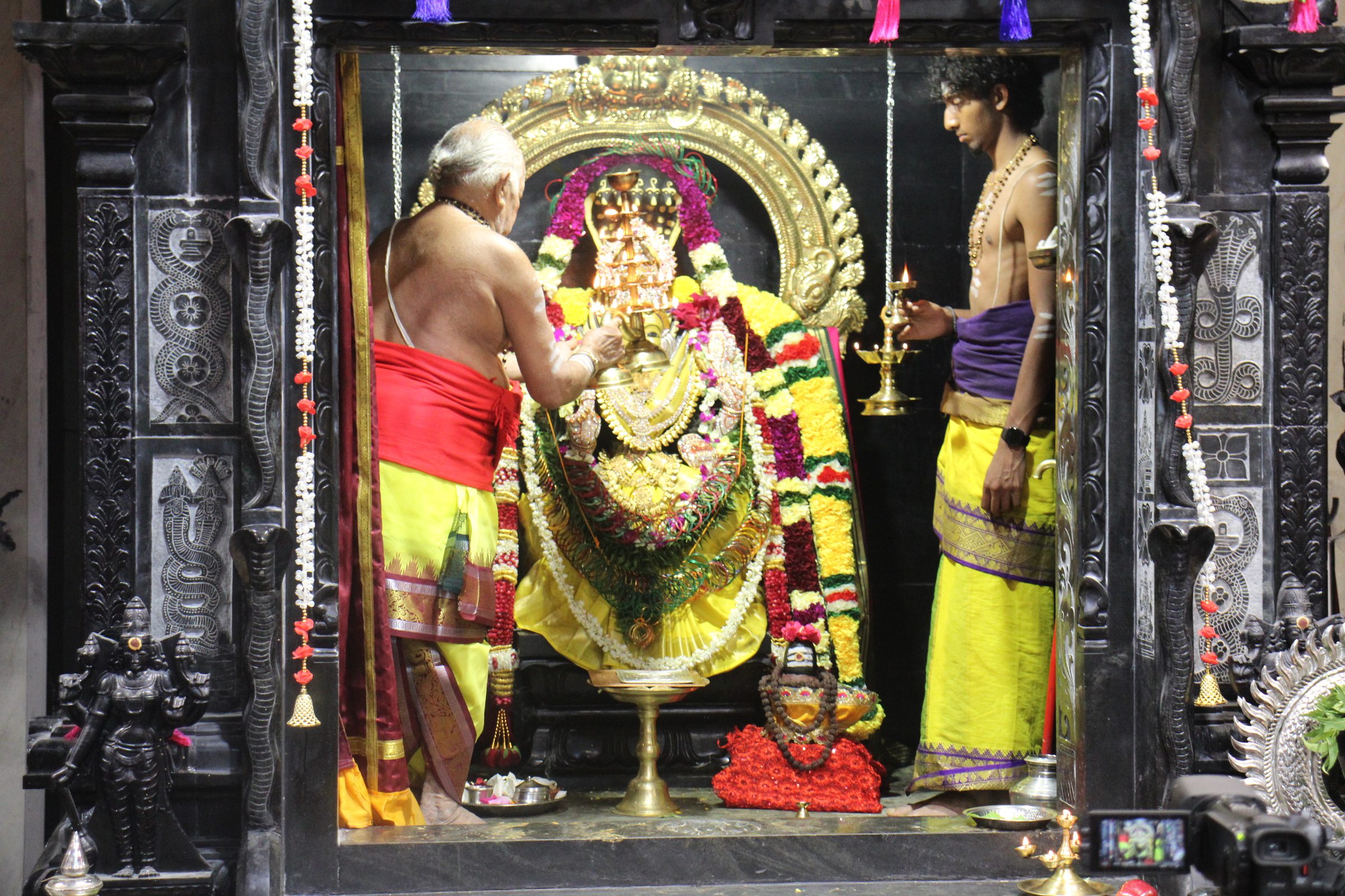 Ambal Festival 2026 photo