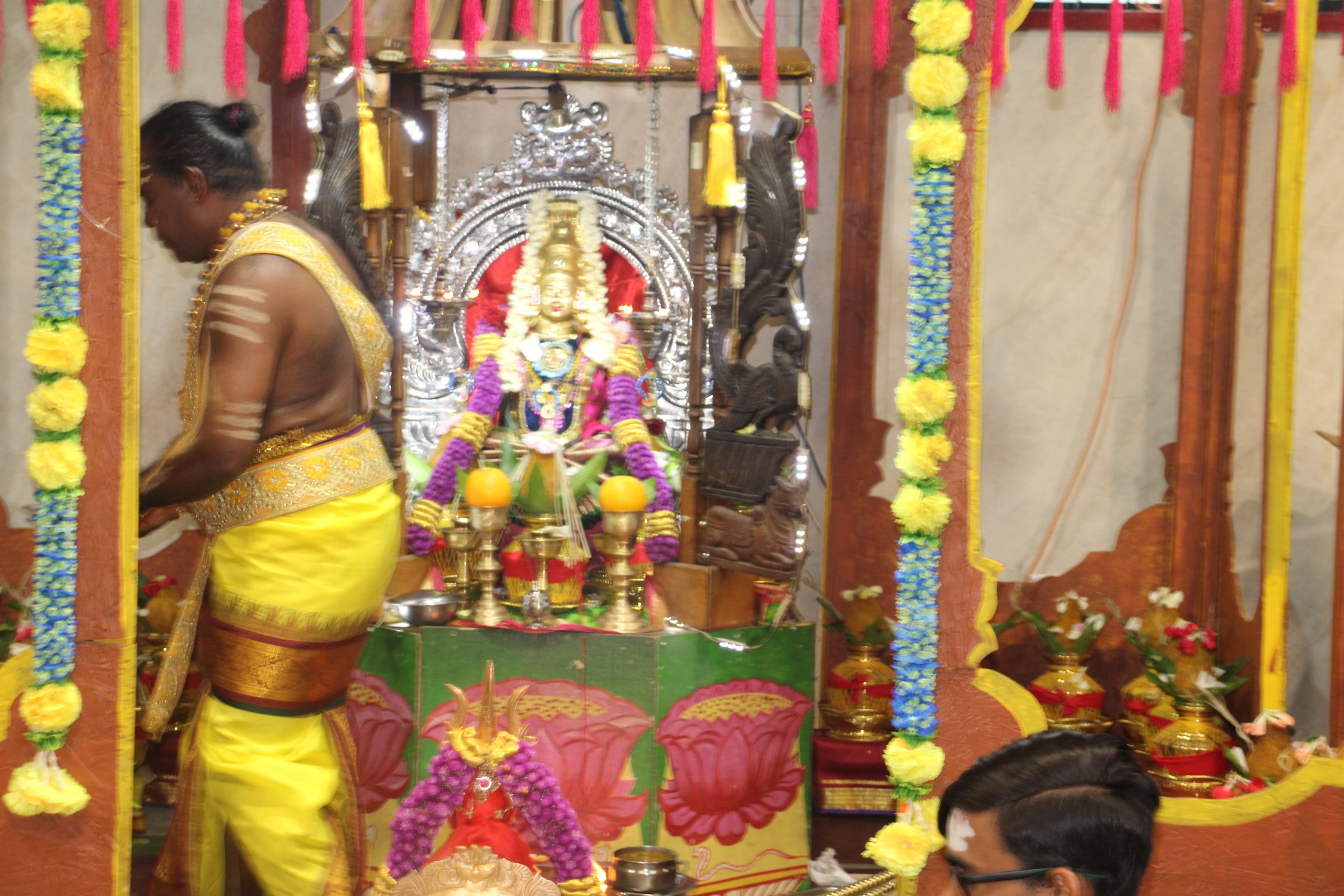 Ambal Festival 2026 photo
