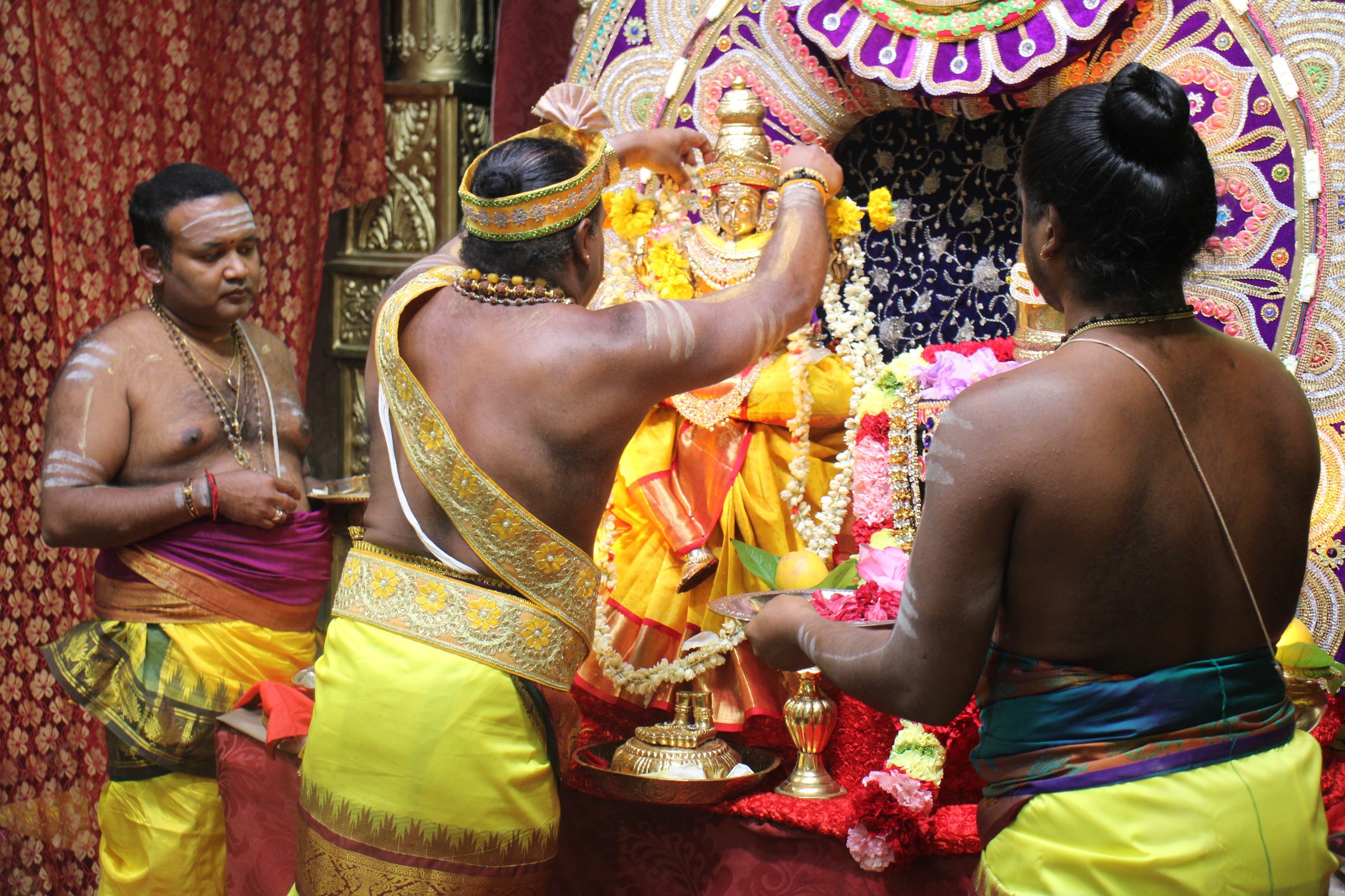 Ambal Festival 2026 photo