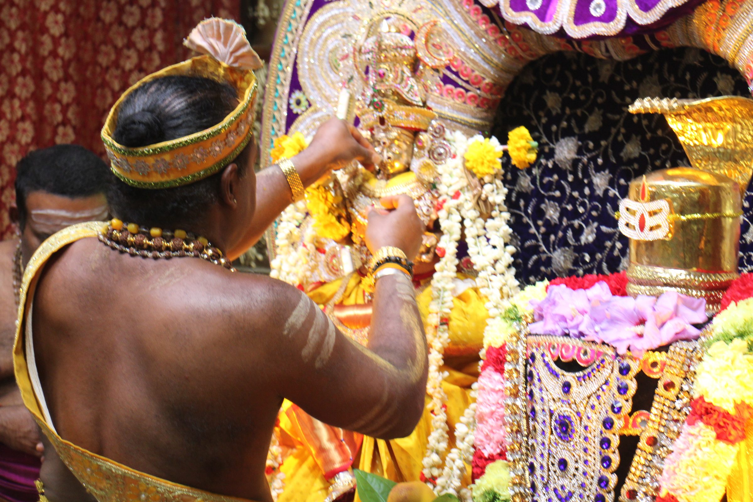 Ambal Festival 2026 photo