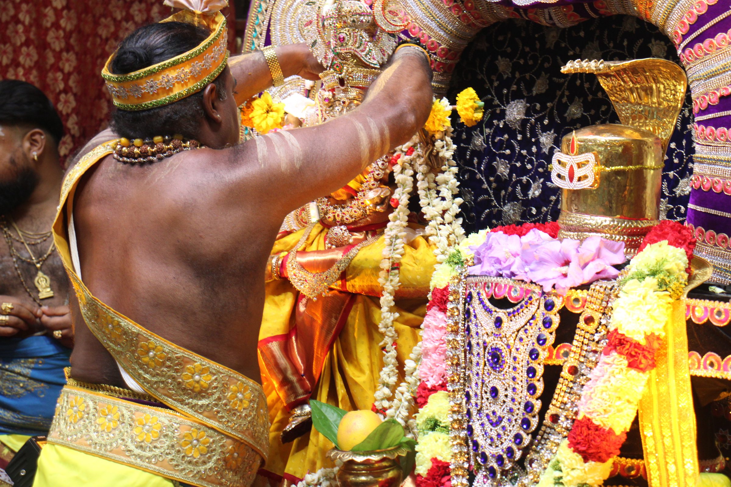 Ambal Festival 2026 photo