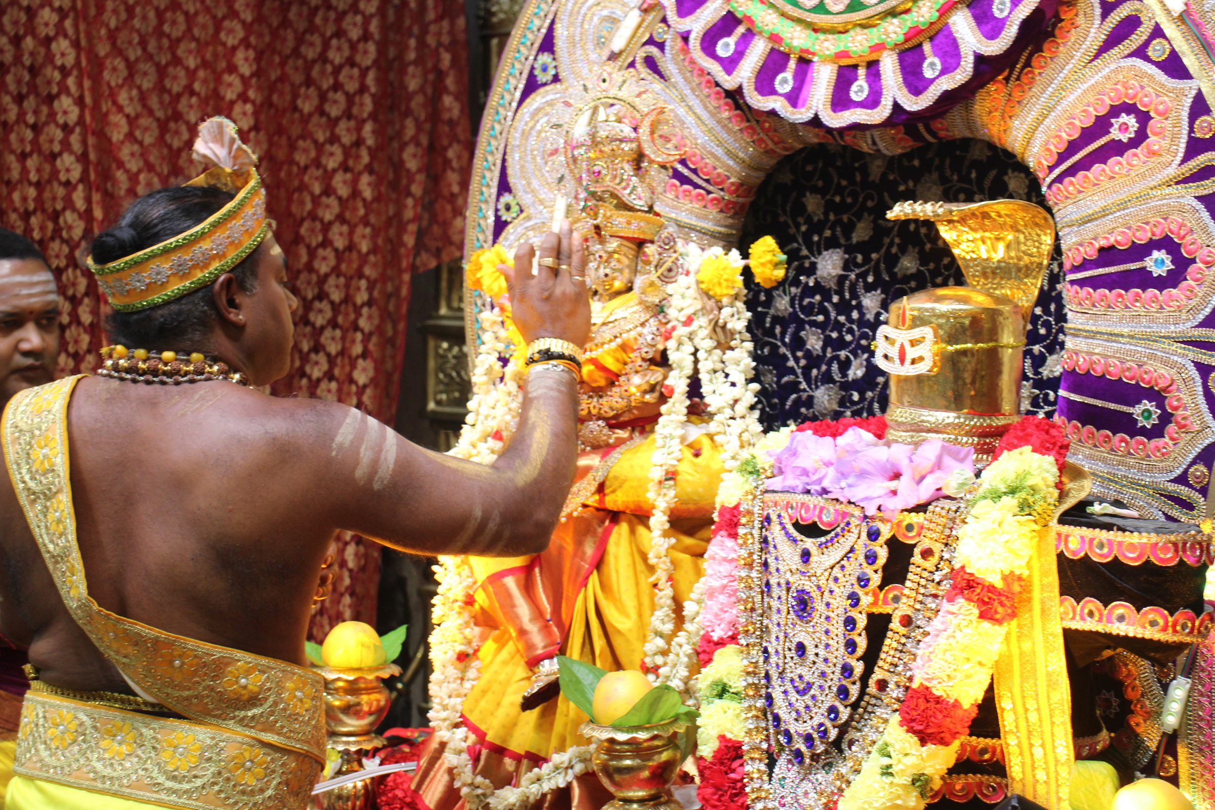 Ambal Festival 2026 photo