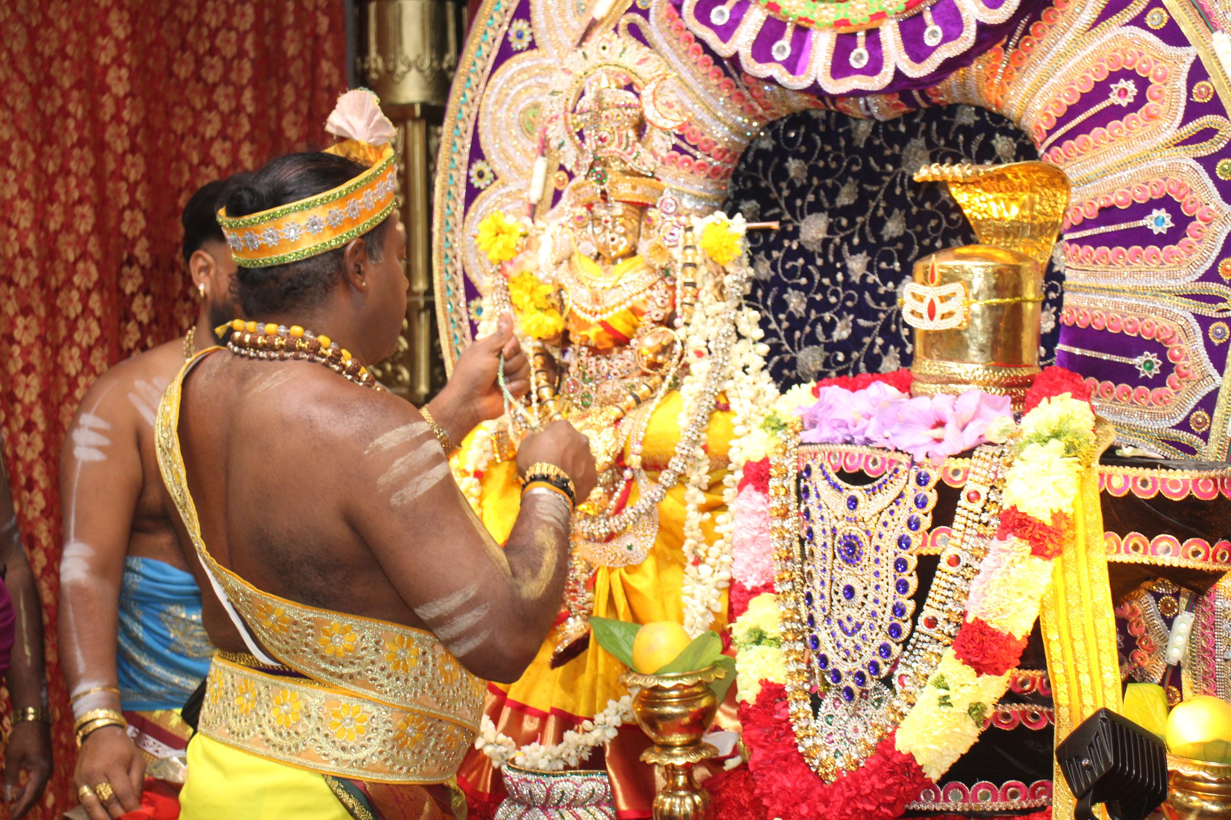 Ambal Festival 2026 photo