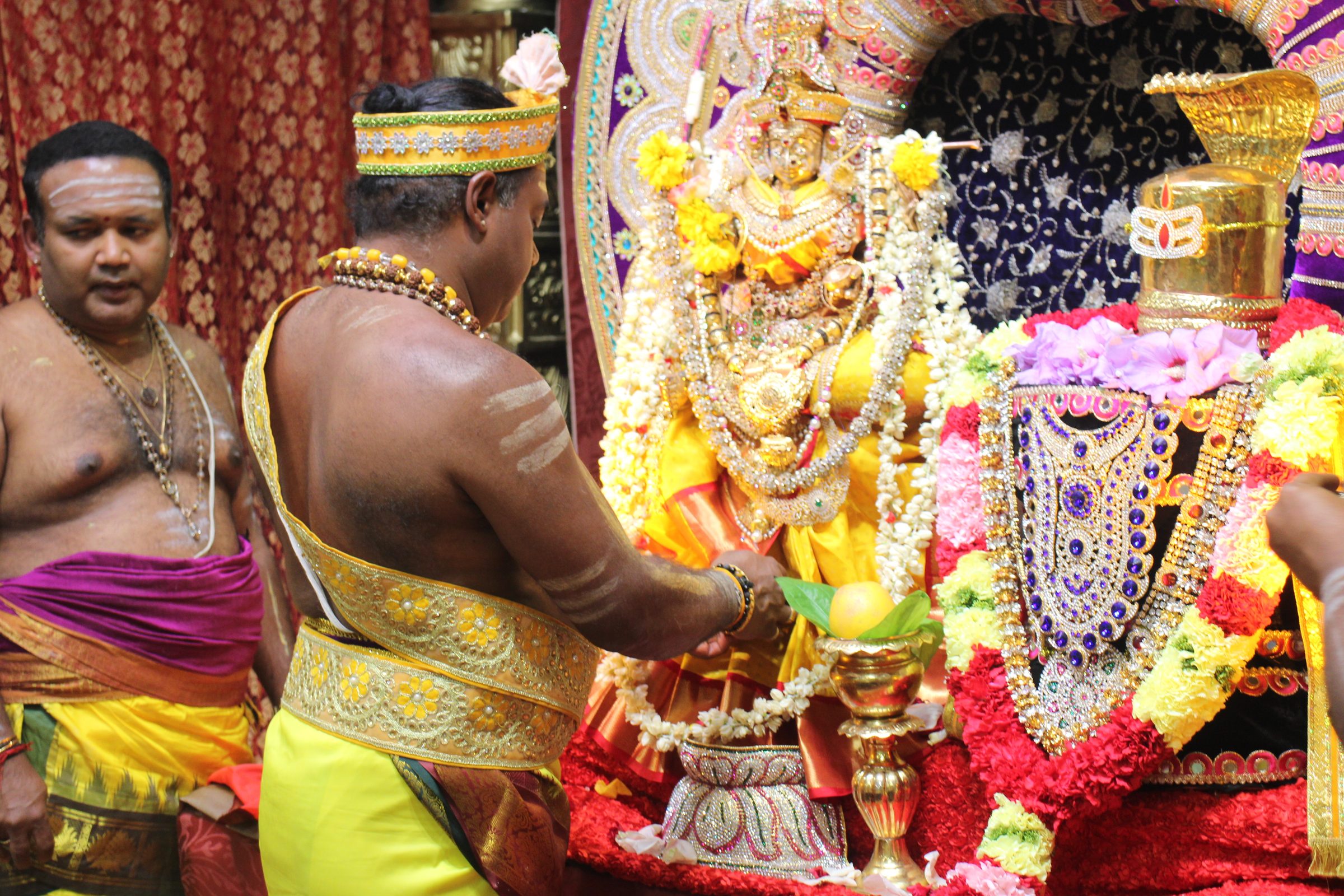 Ambal Festival 2026 photo