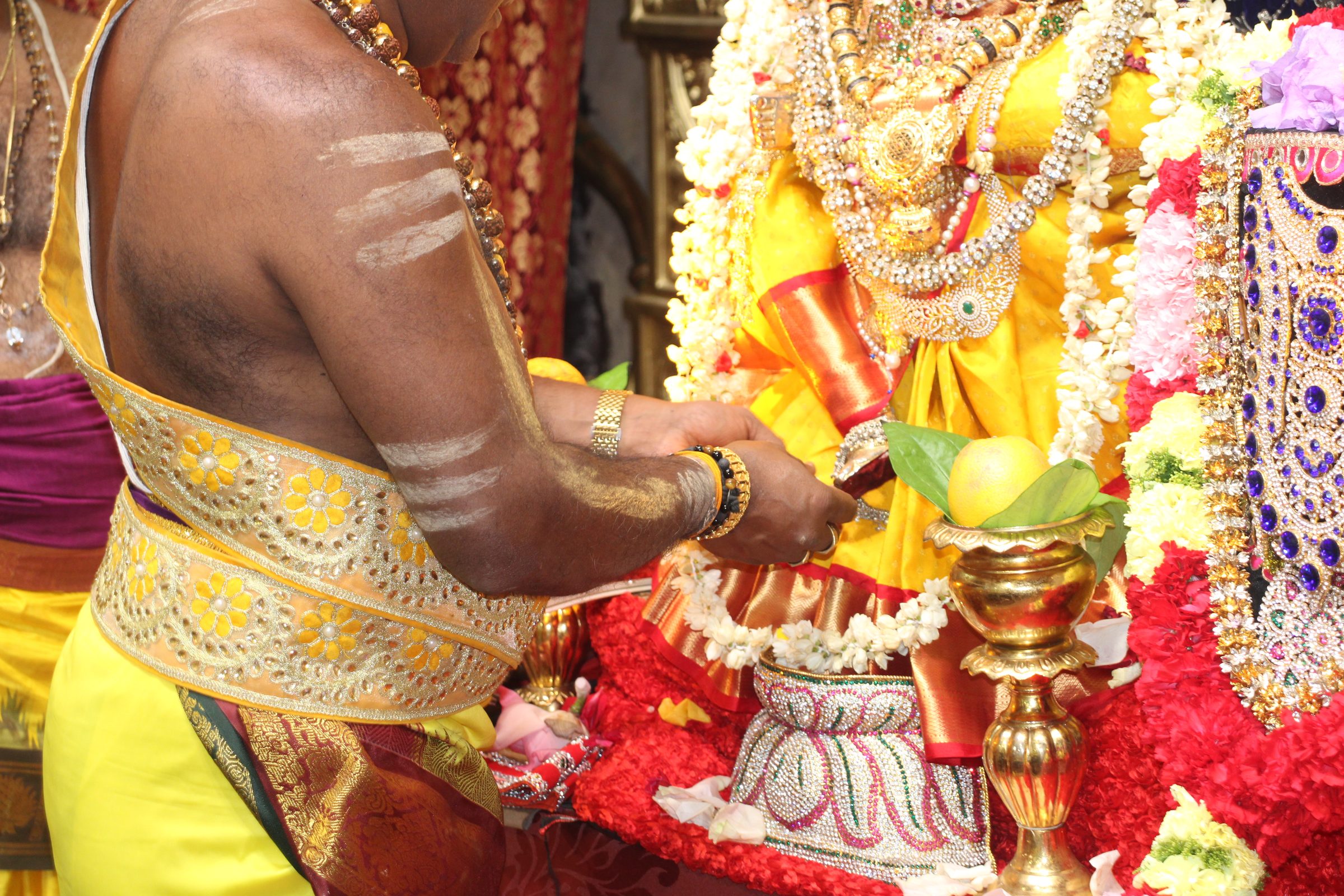 Ambal Festival 2026 photo