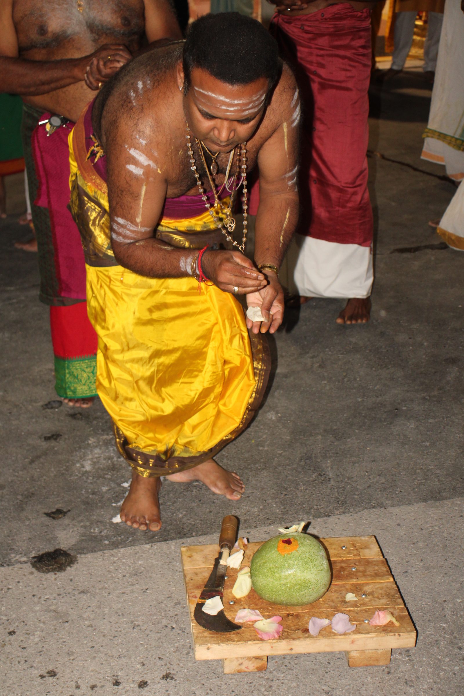 Ambal Festival 2026 photo
