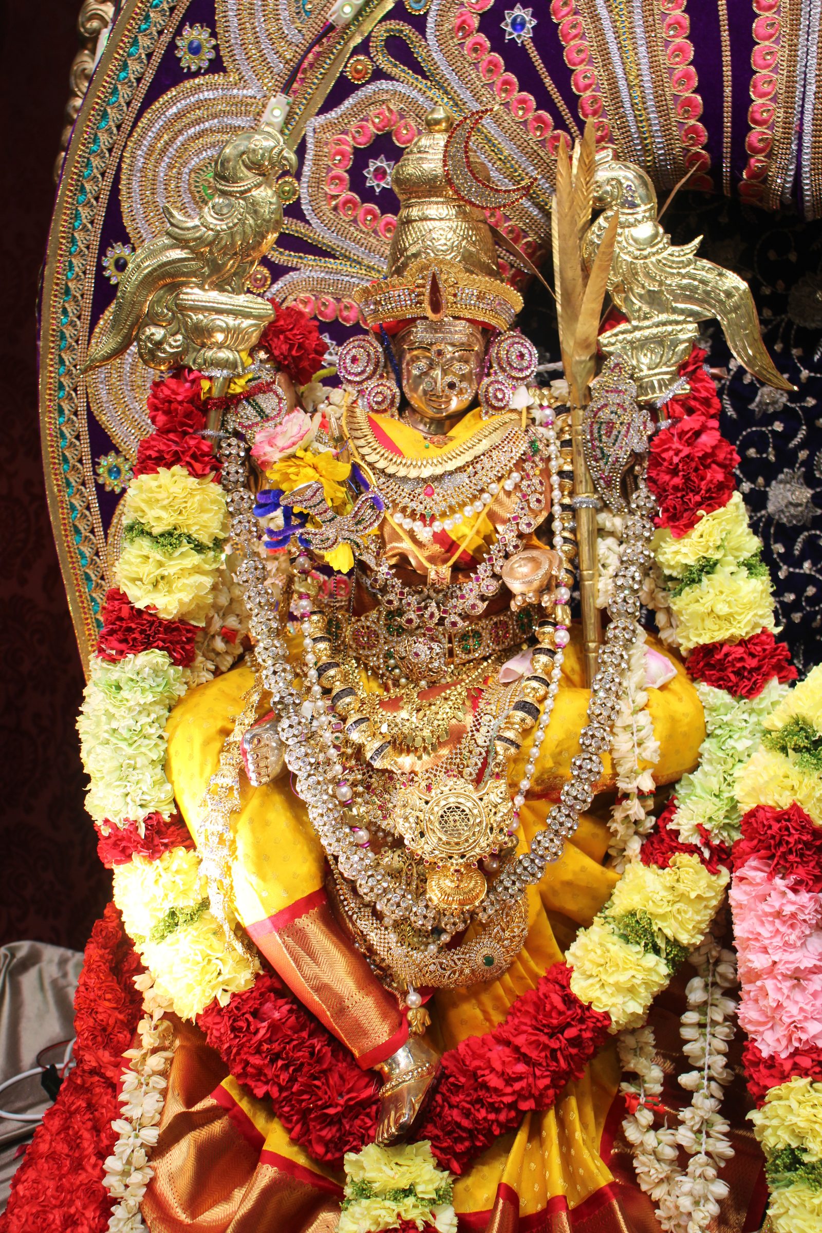 Ambal Festival 2026 photo
