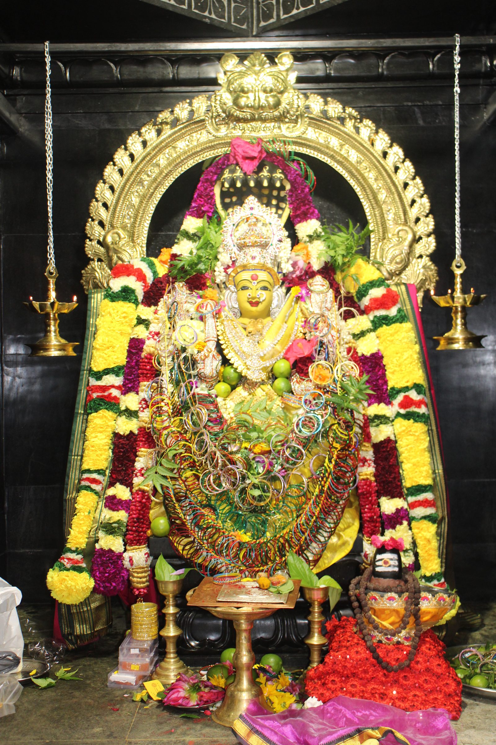Ambal Festival 2026 photo