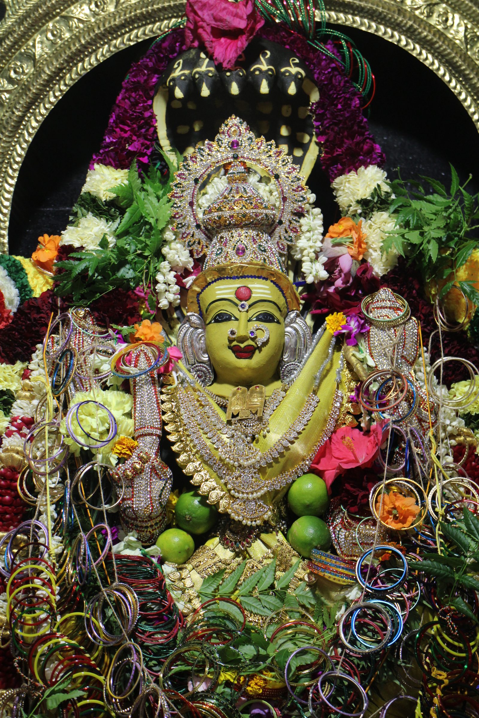 Ambal Festival 2026 photo