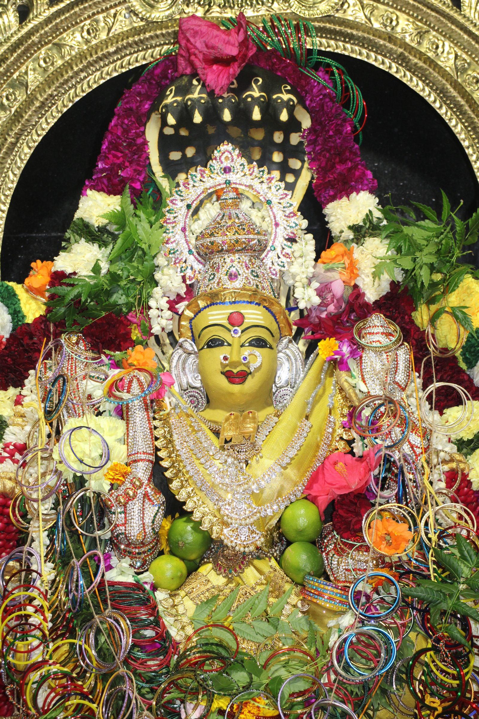 Ambal Festival 2026 photo