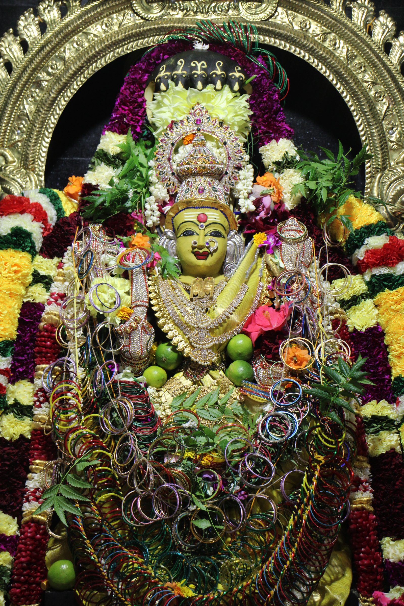 Ambal Festival 2026 photo