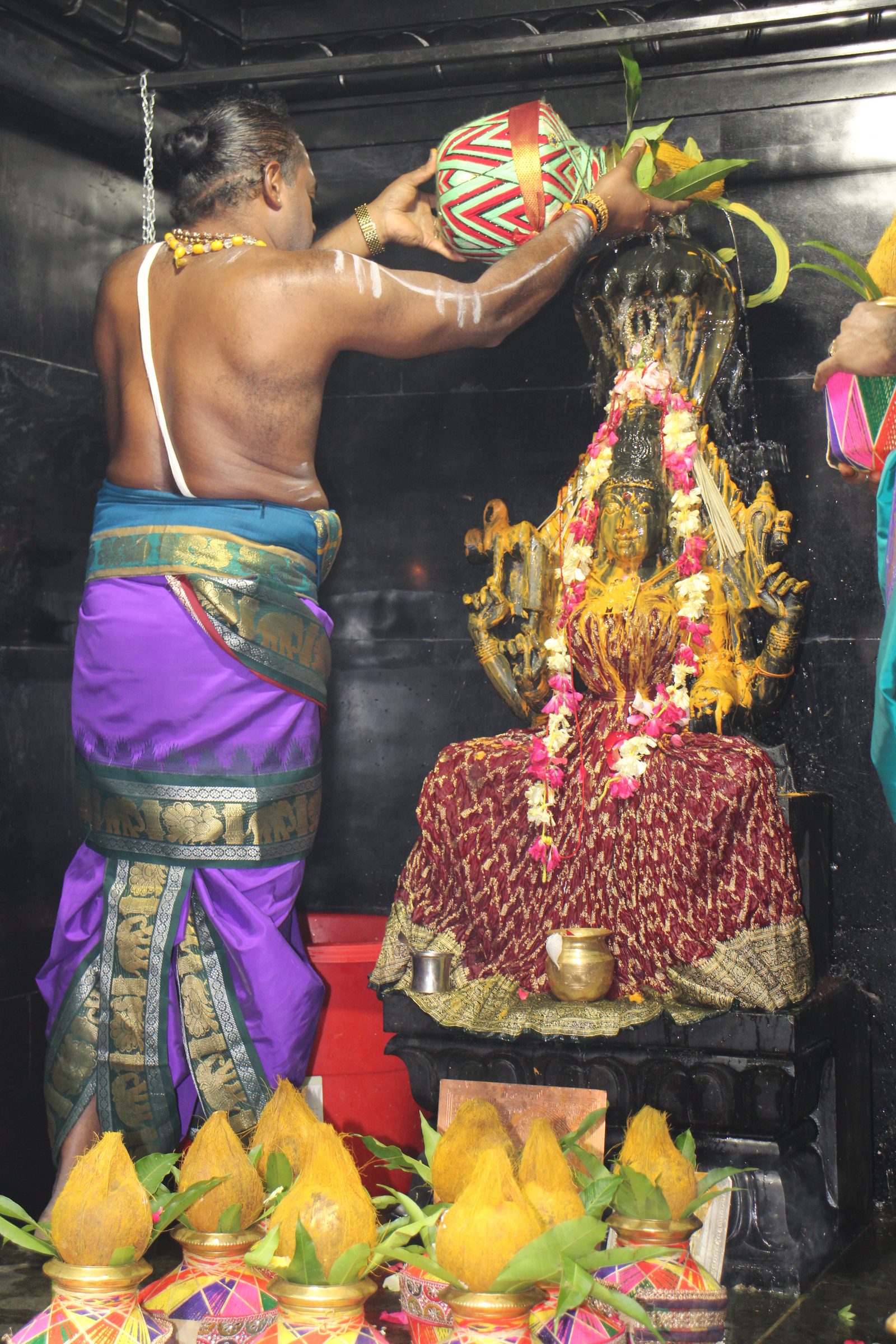 Ambal Festival 2026 photo