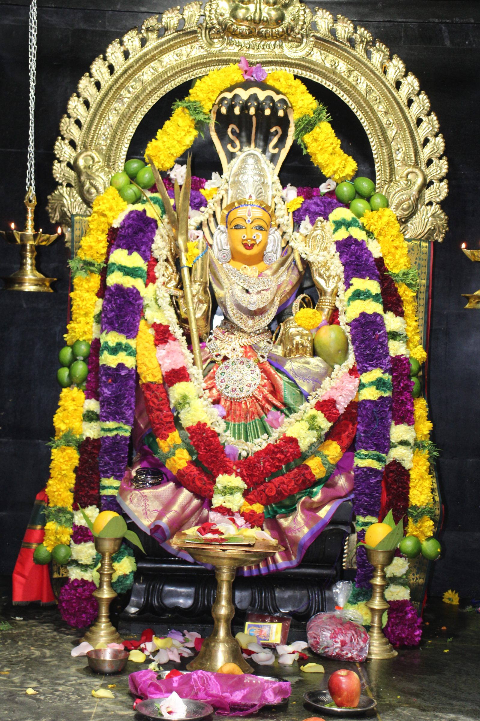 Ambal Festival 2026 photo