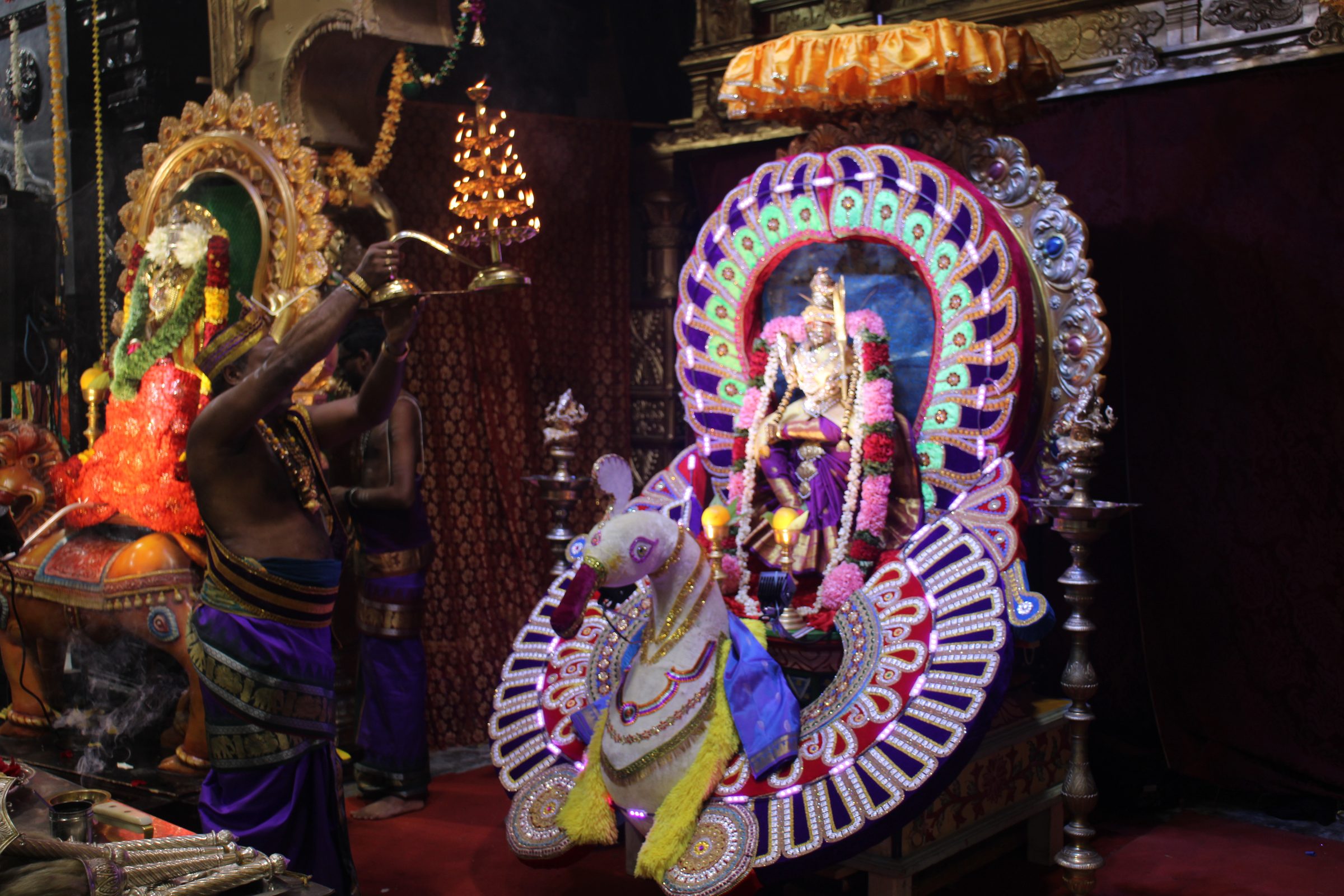 Ambal Festival 2026 photo