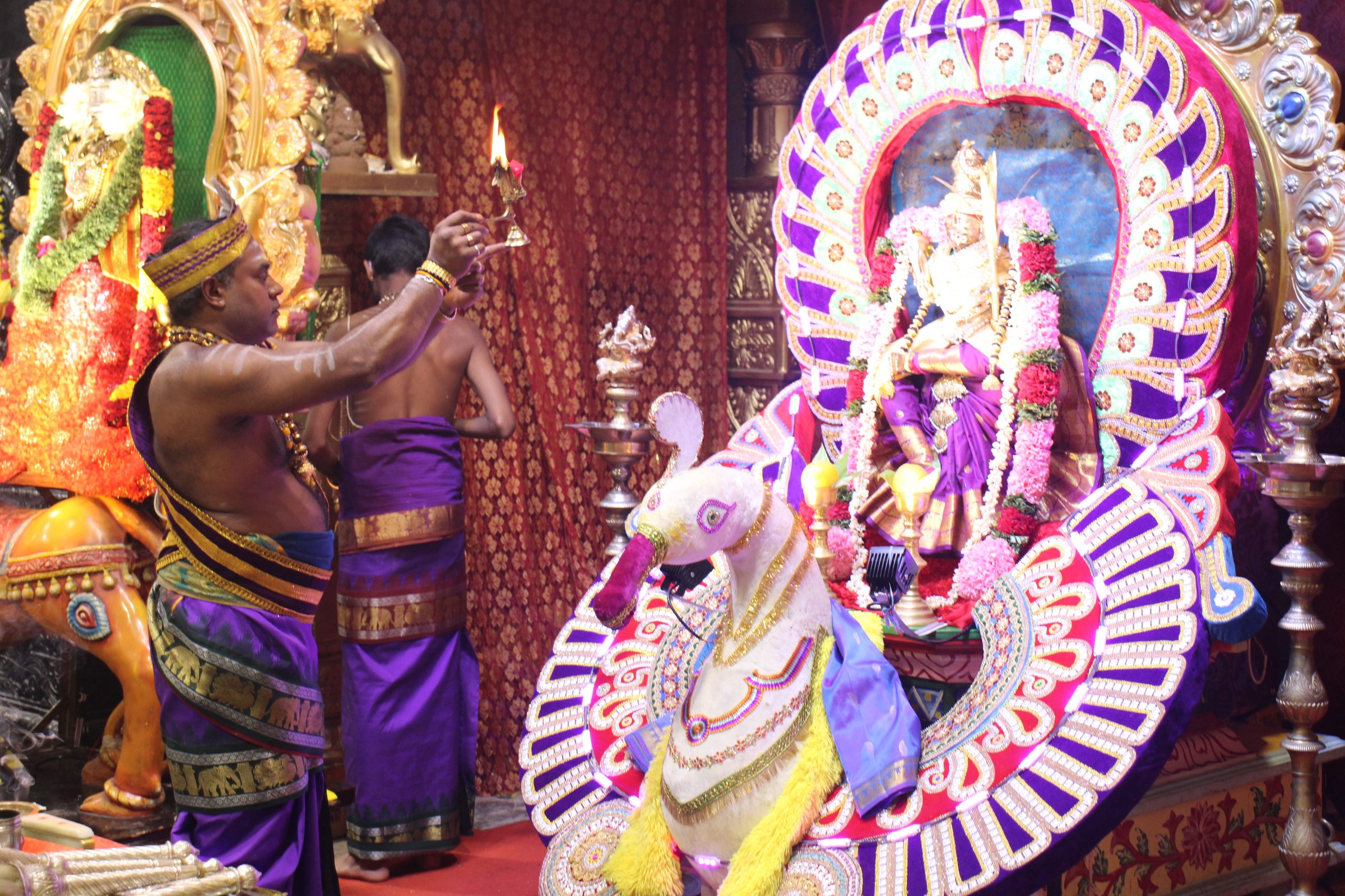 Ambal Festival 2026 photo