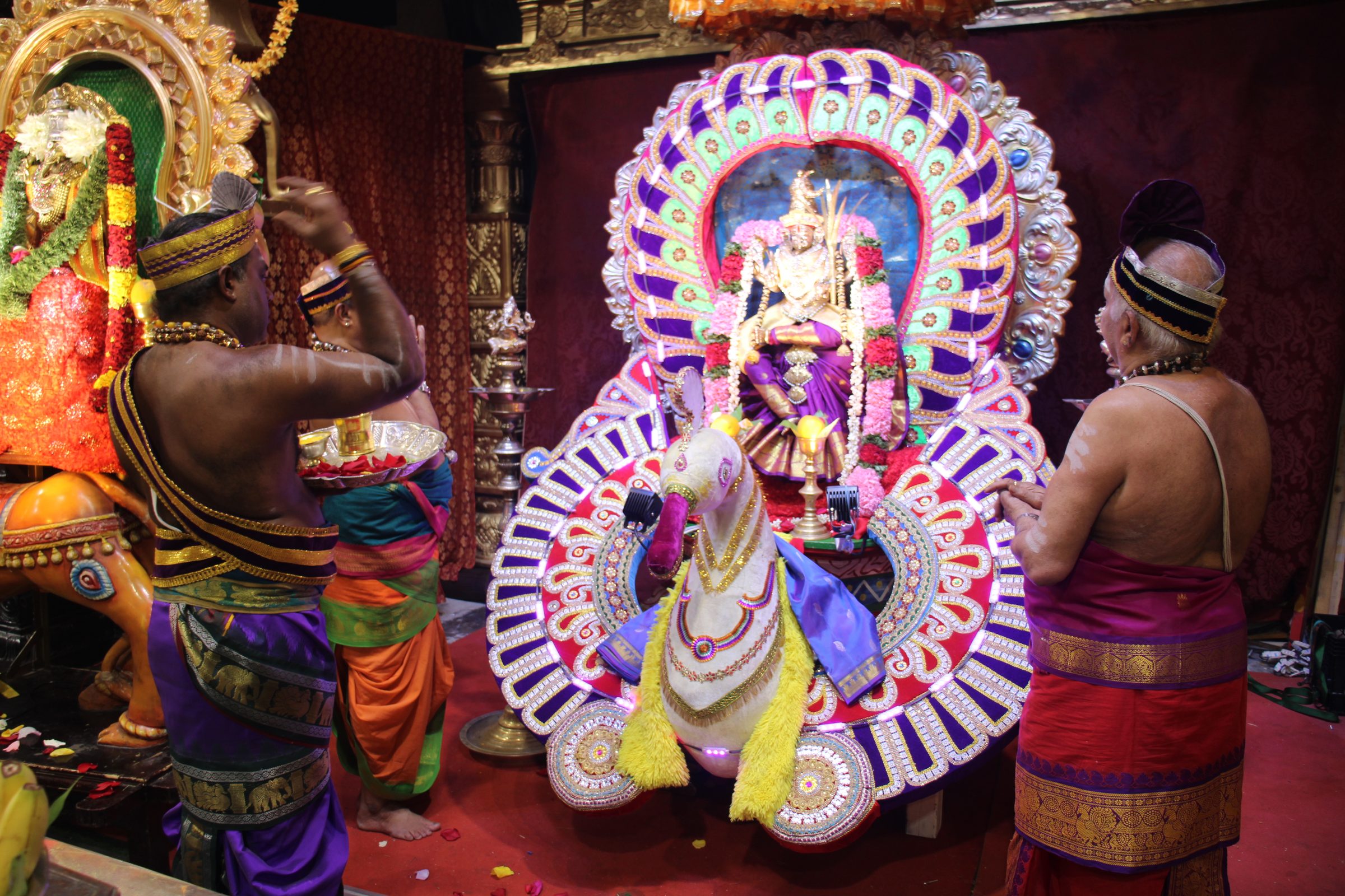Ambal Festival 2026 photo