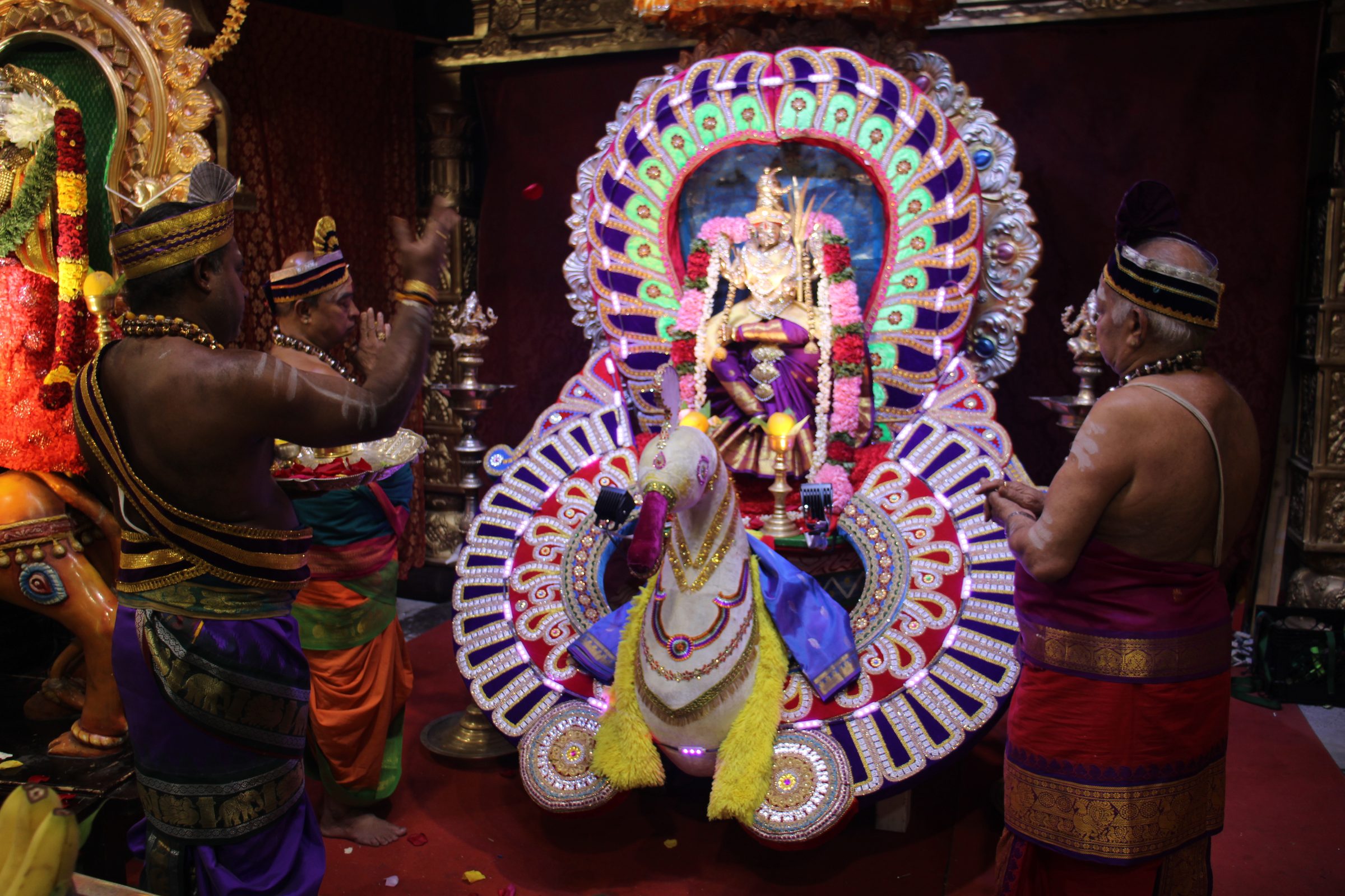 Ambal Festival 2026 photo