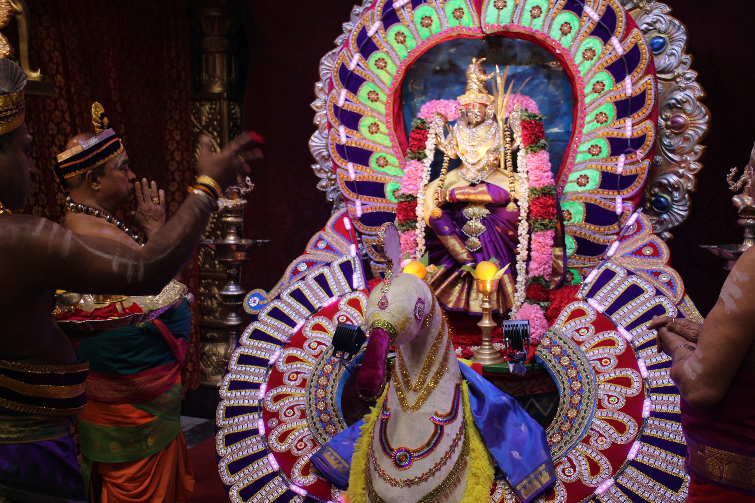 Ambal Festival 2026 photo