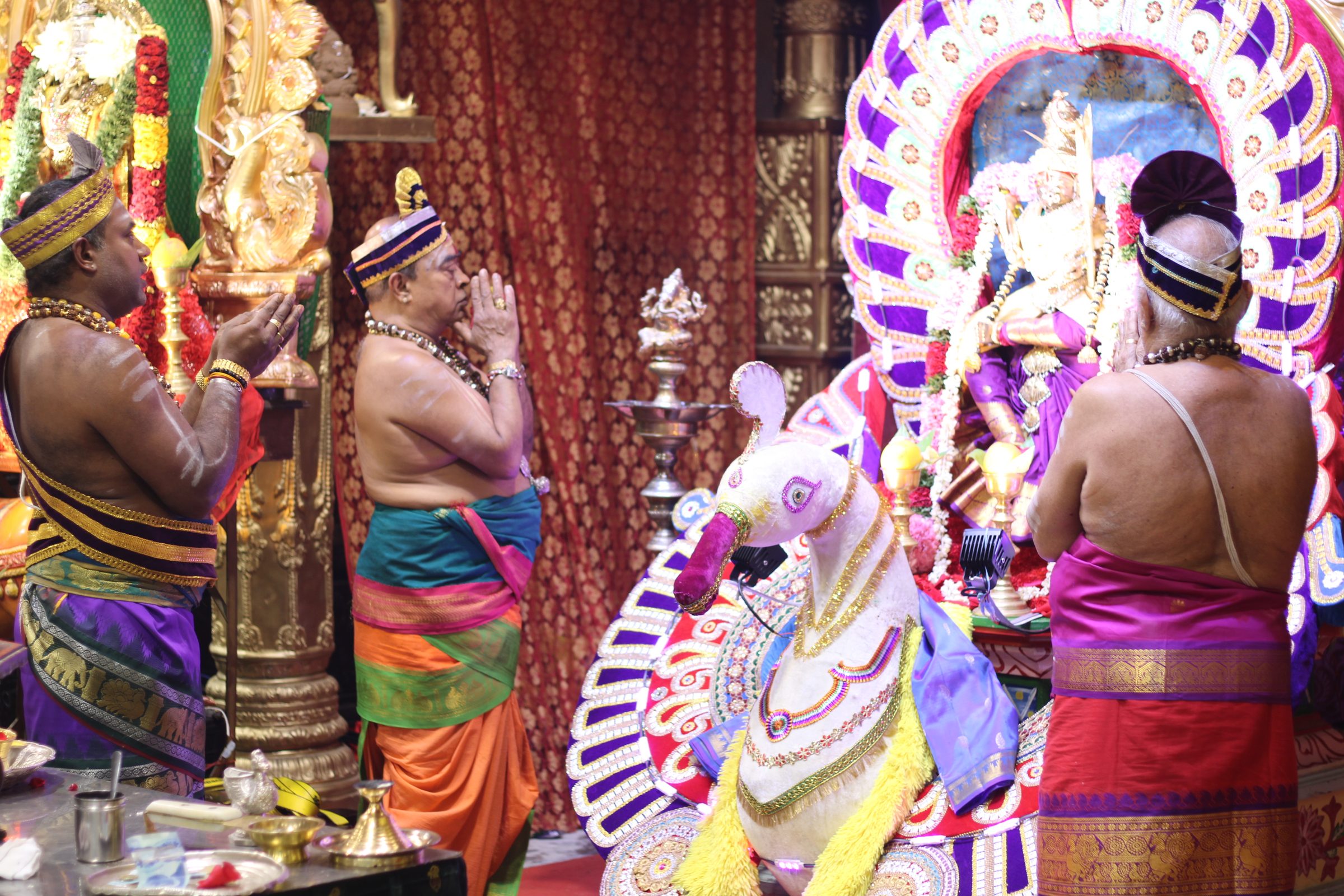 Ambal Festival 2026 photo