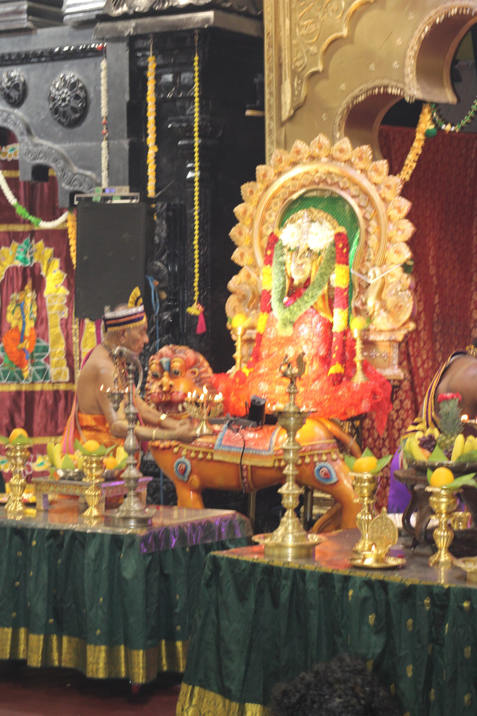 Ambal Festival 2026 photo