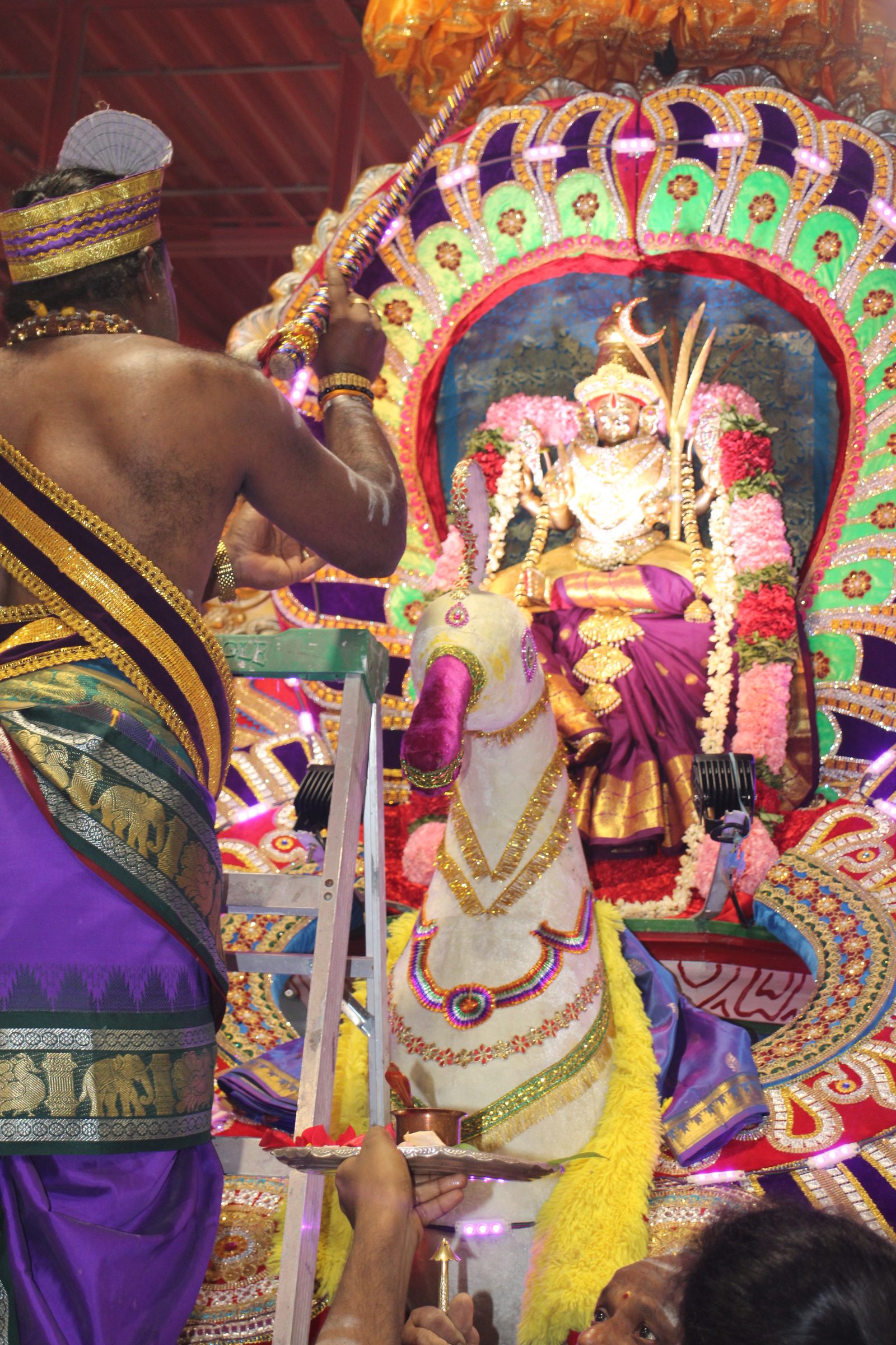Ambal Festival 2026 photo