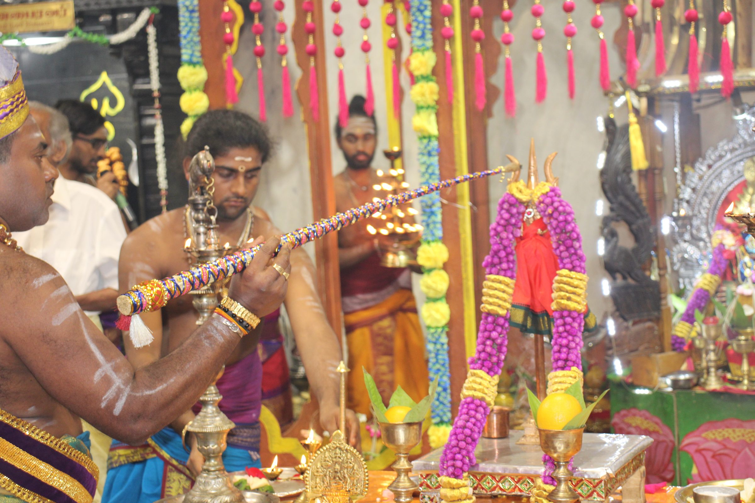 Ambal Festival 2026 photo