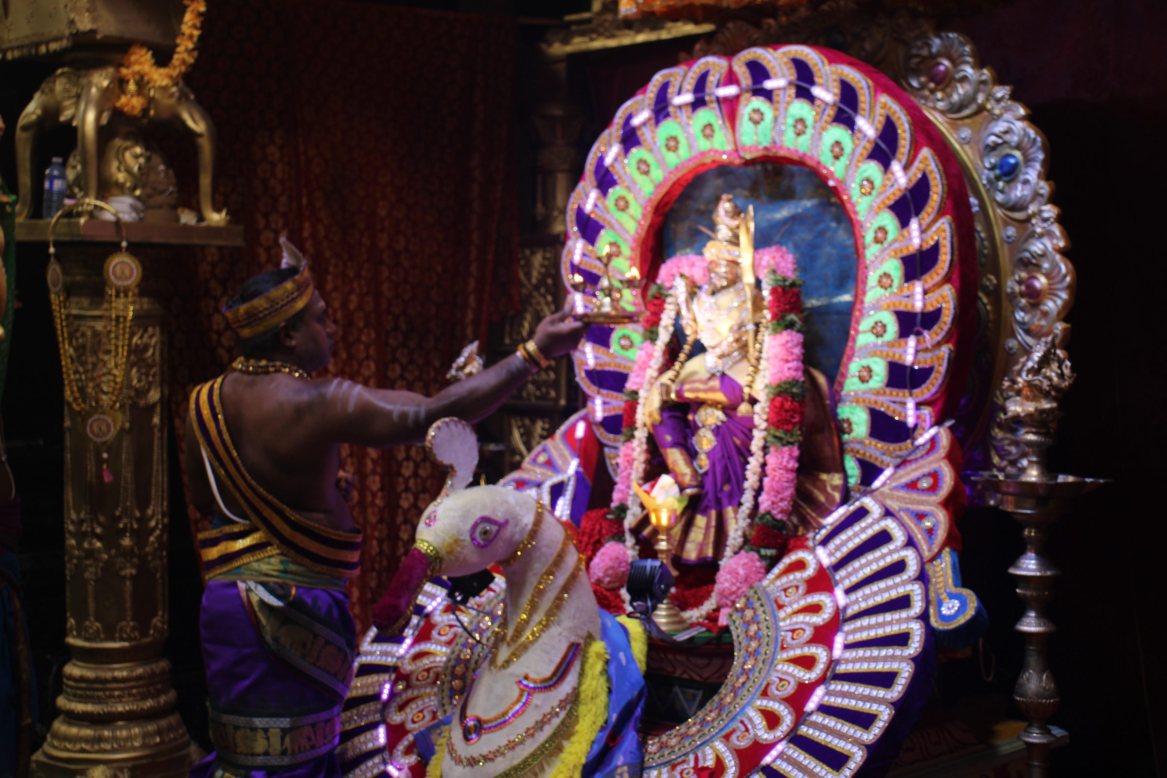 Ambal Festival 2026 photo