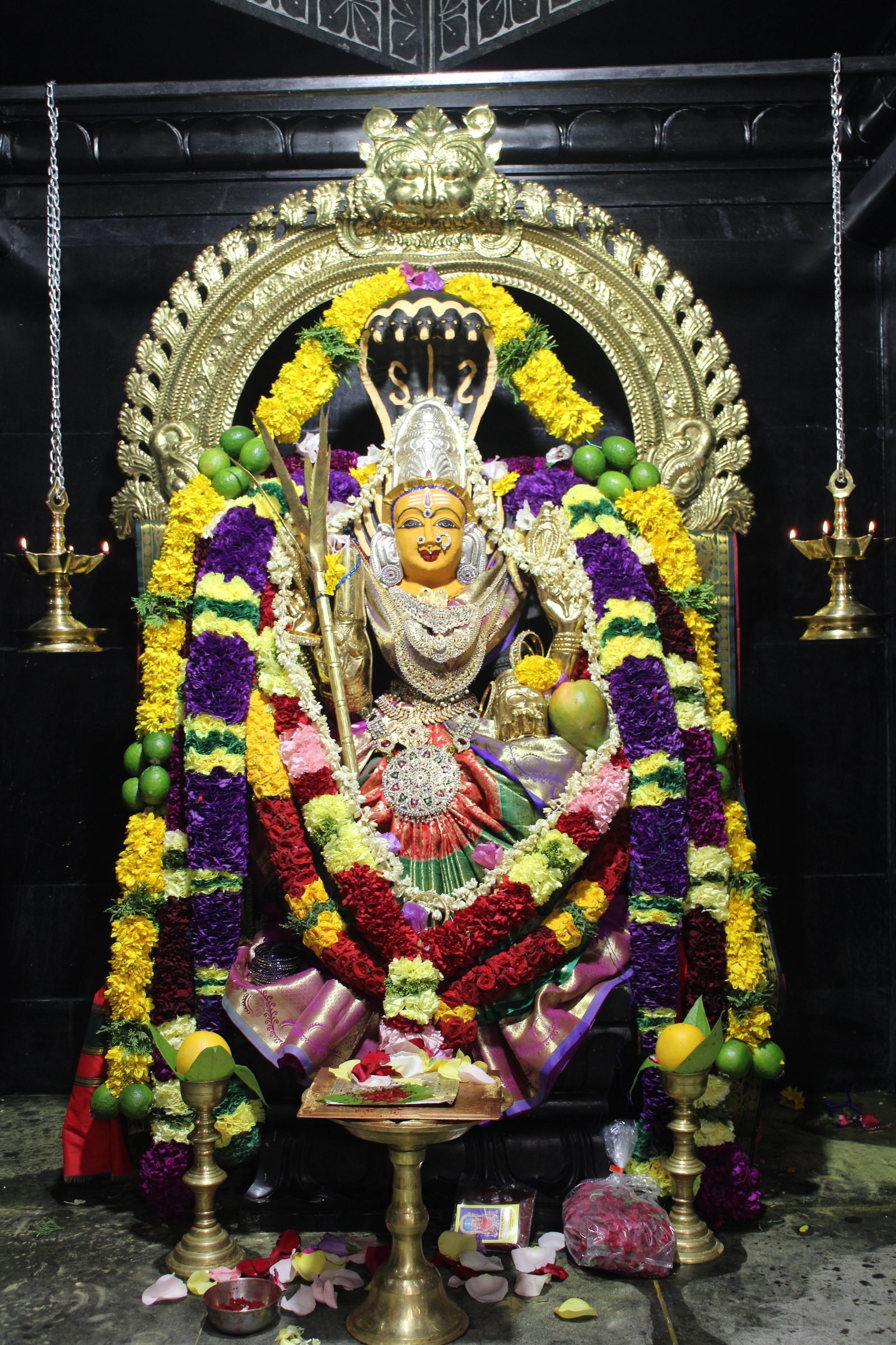 Ambal Festival 2026 photo