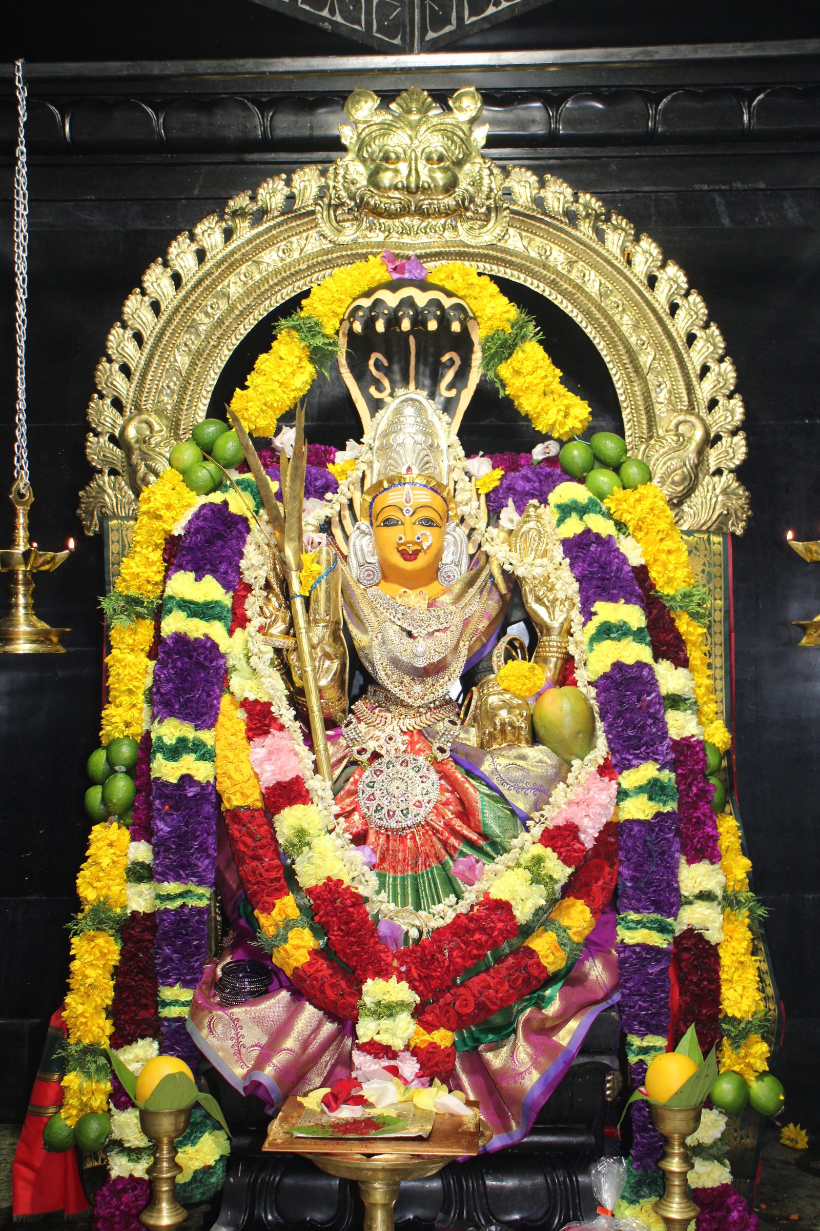 Ambal Festival 2026 photo