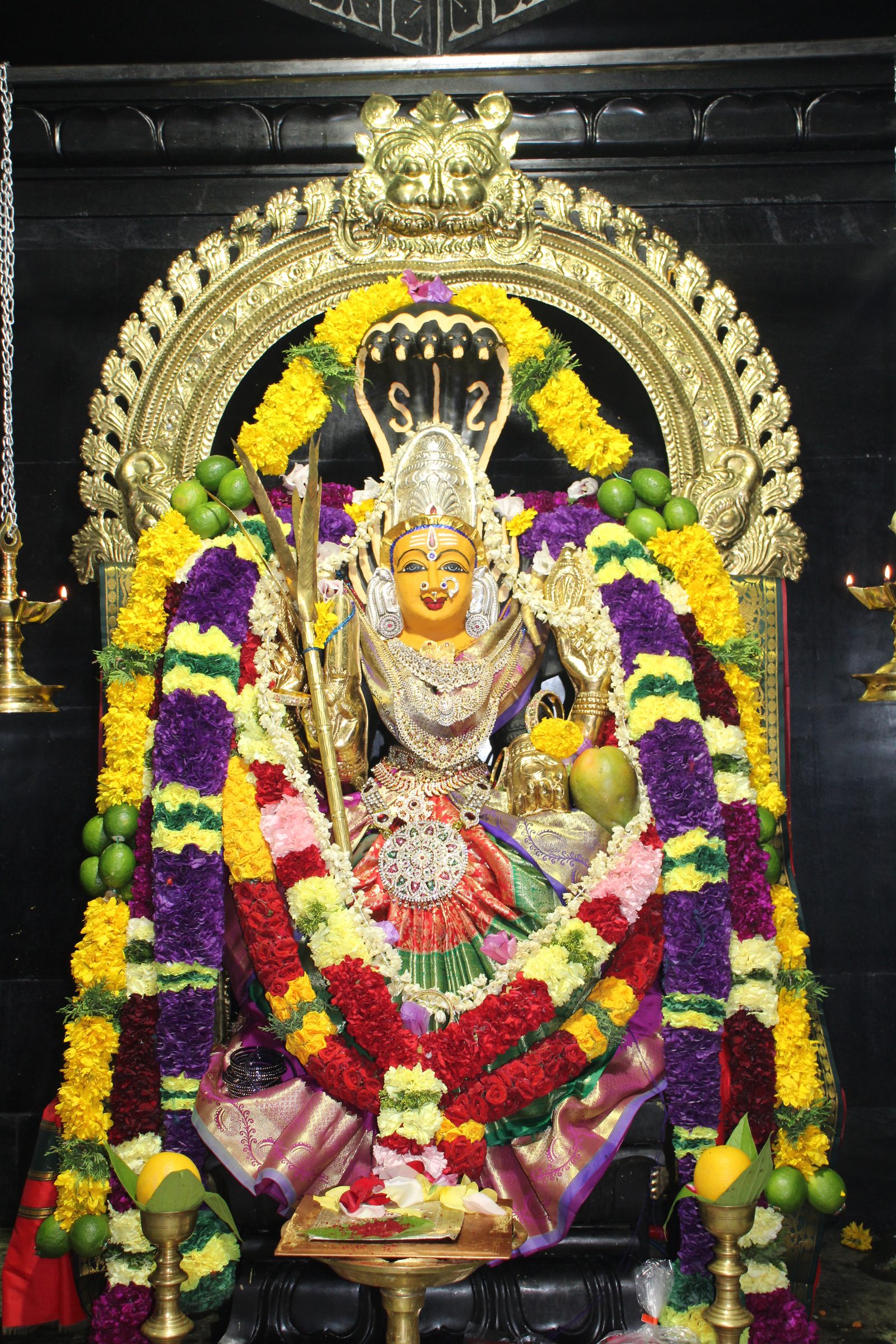 Ambal Festival 2026 photo