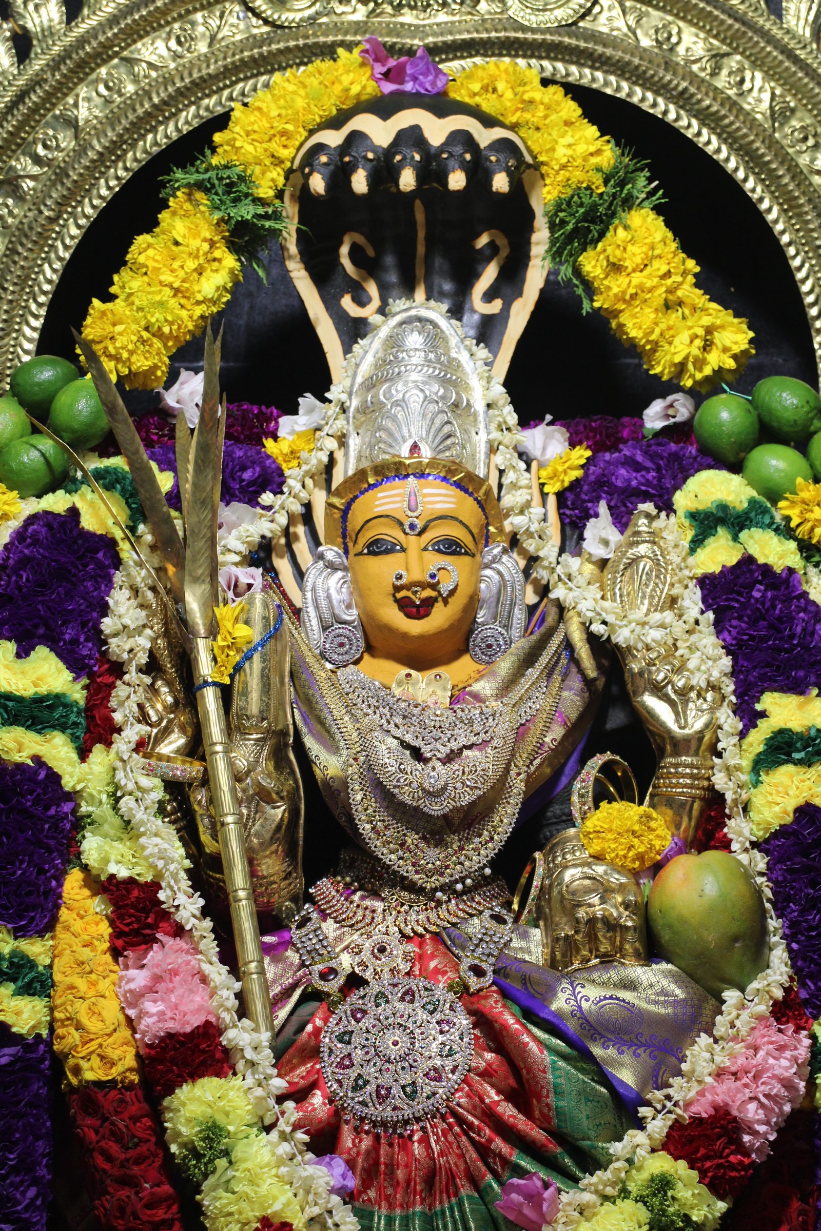 Ambal Festival 2026 photo