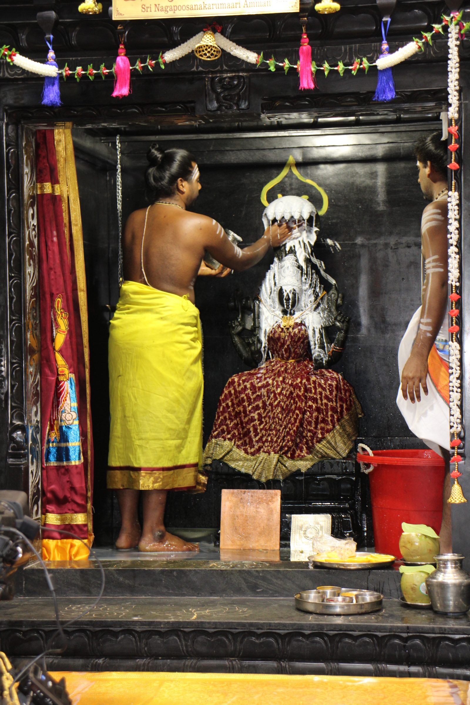 Ambal Festival 2026 photo