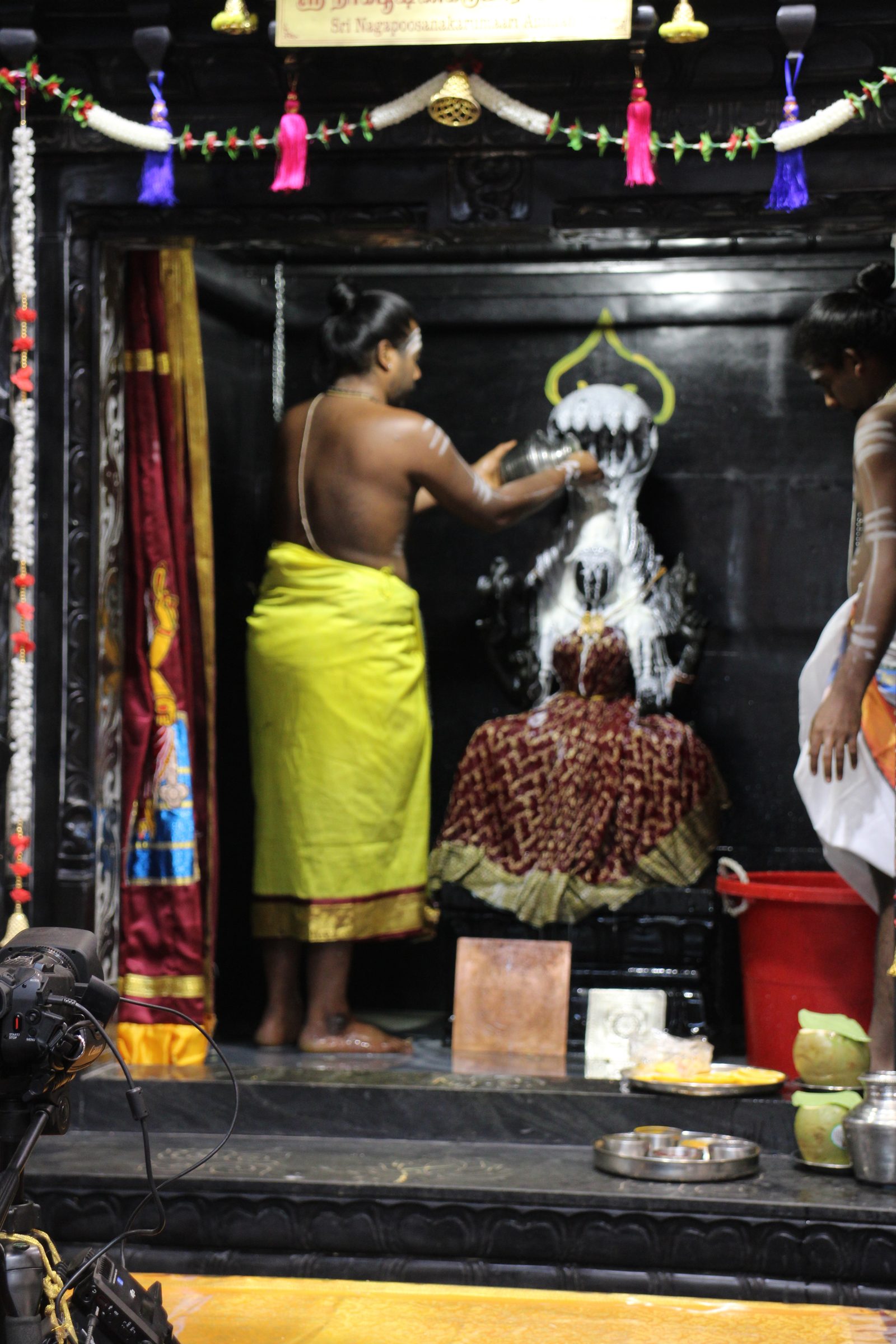 Ambal Festival 2026 photo