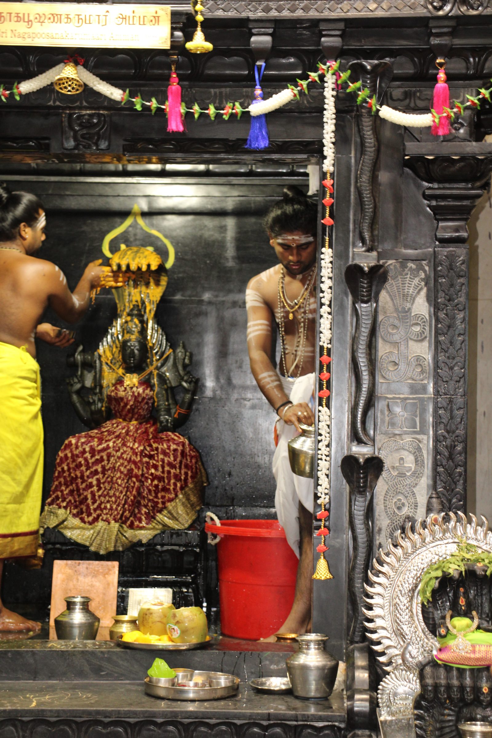 Ambal Festival 2026 photo