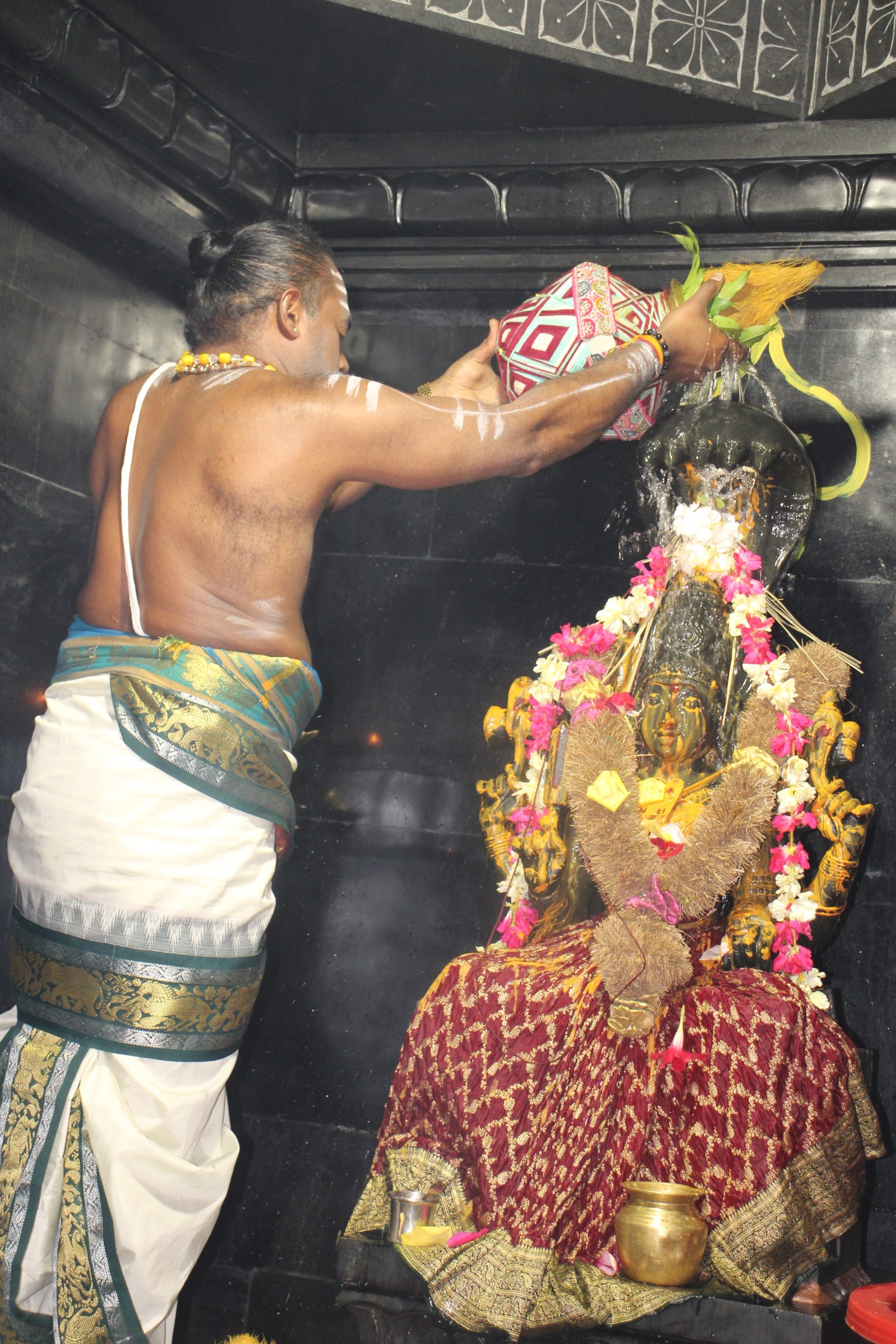 Ambal Festival 2026 photo