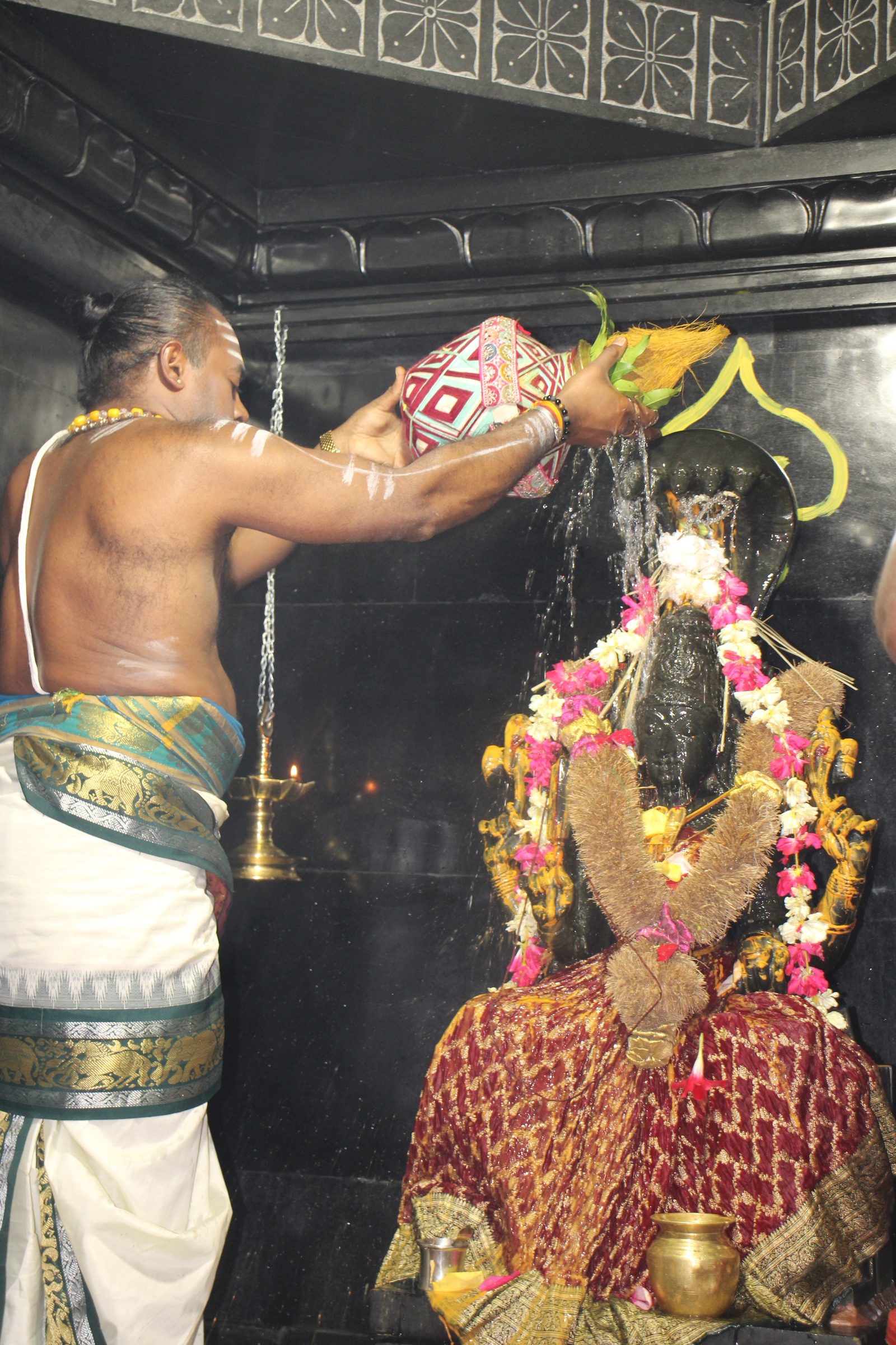 Ambal Festival 2026 photo
