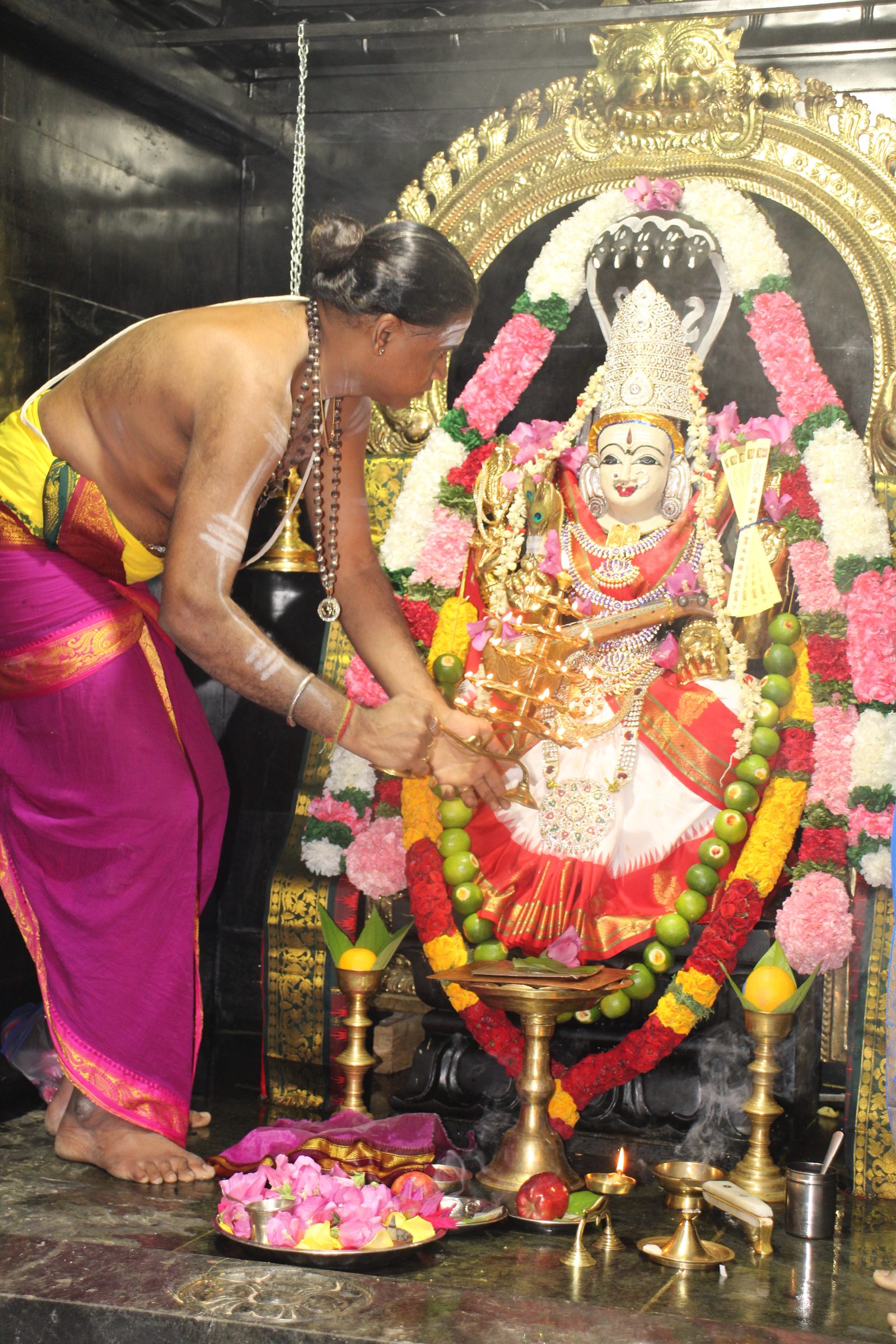 Ambal Festival 2026 photo