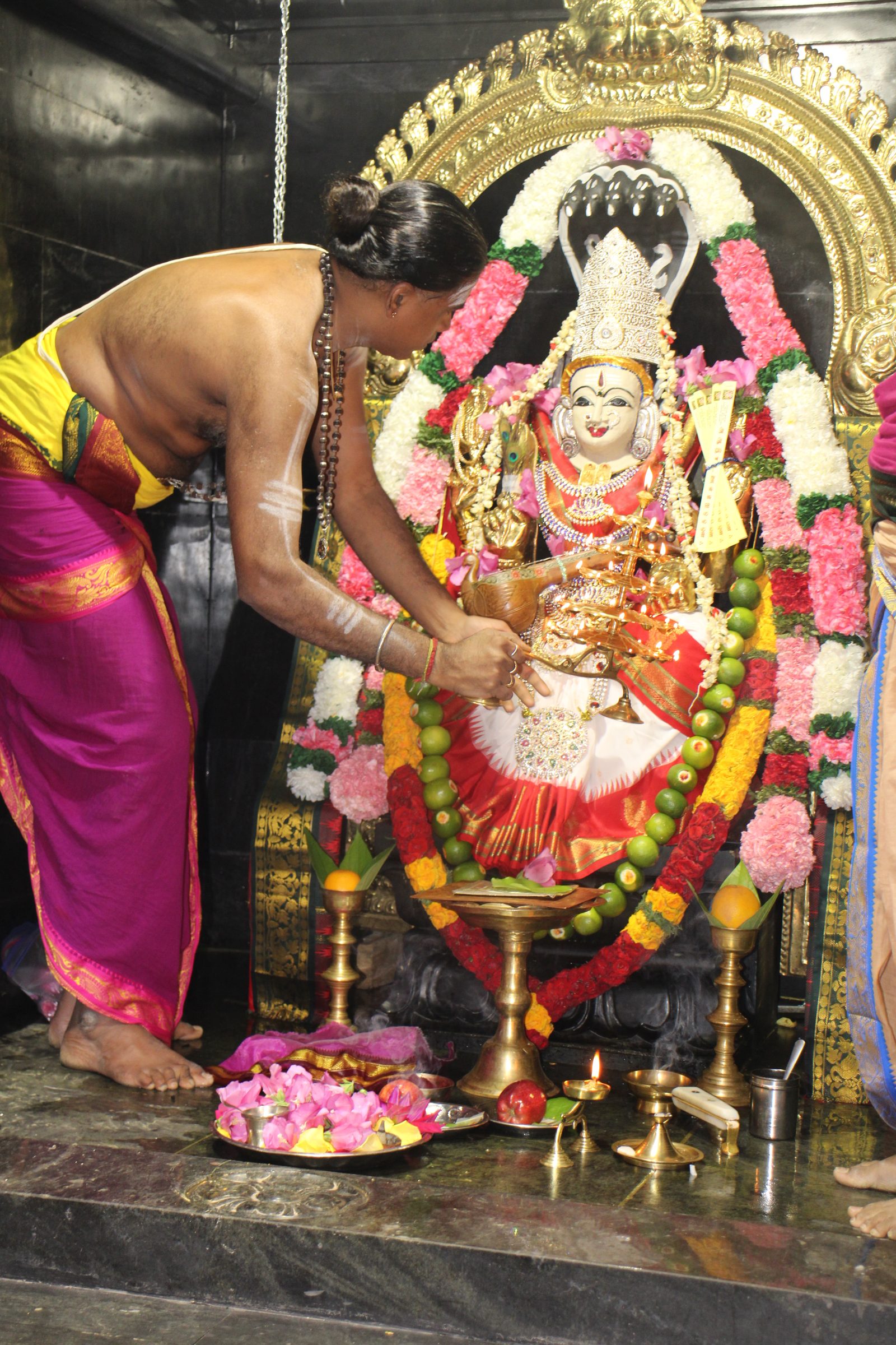 Ambal Festival 2026 photo