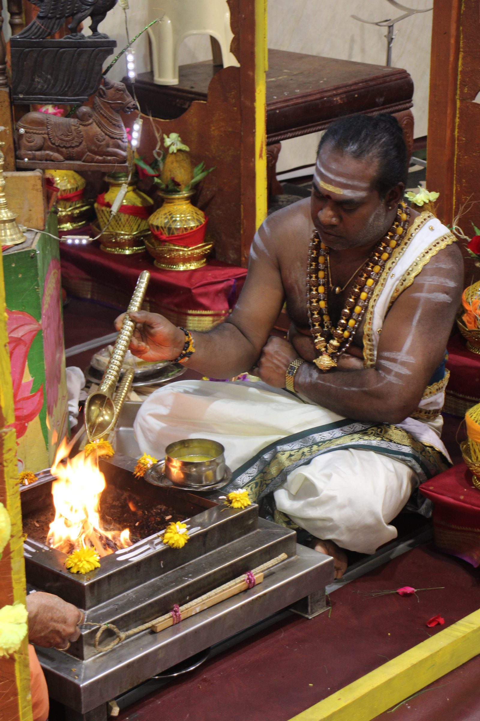 Ambal Festival 2026 photo