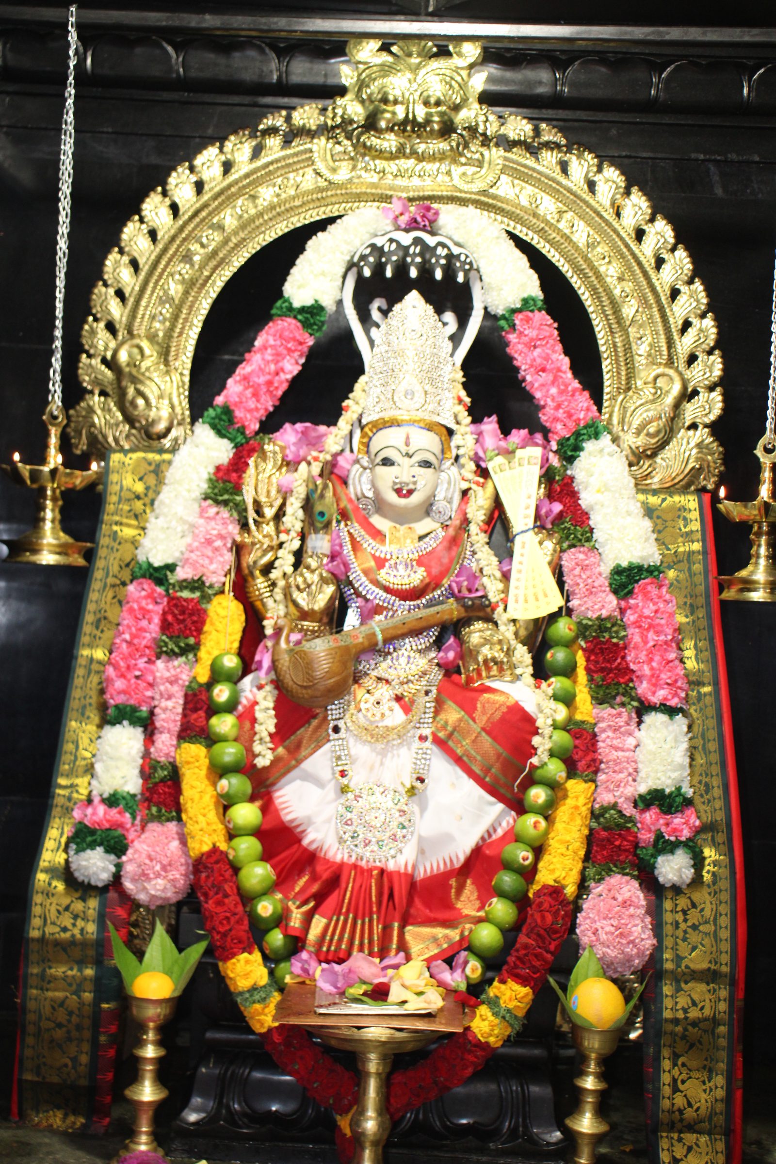 Ambal Festival 2026 photo