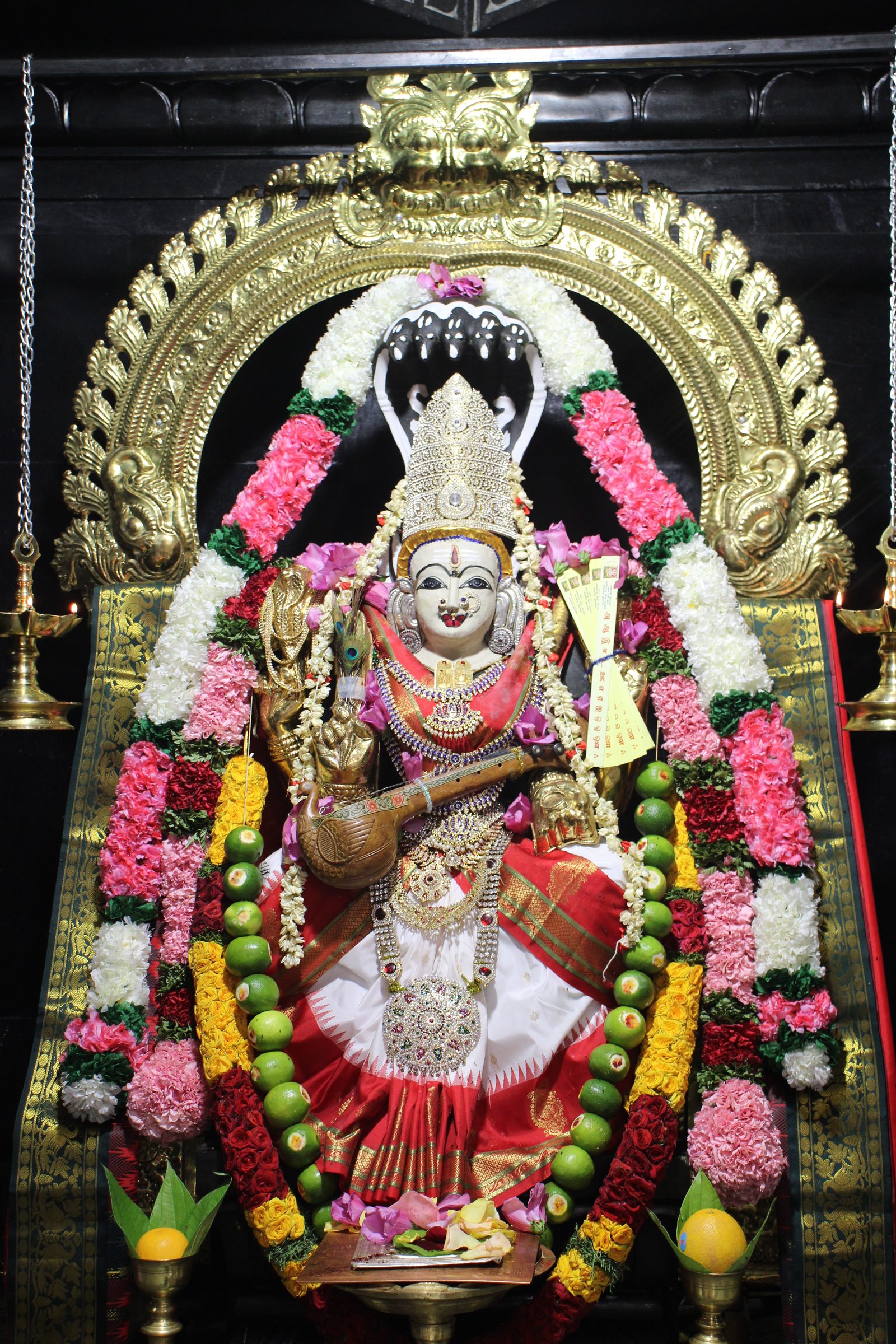 Ambal Festival 2026 photo