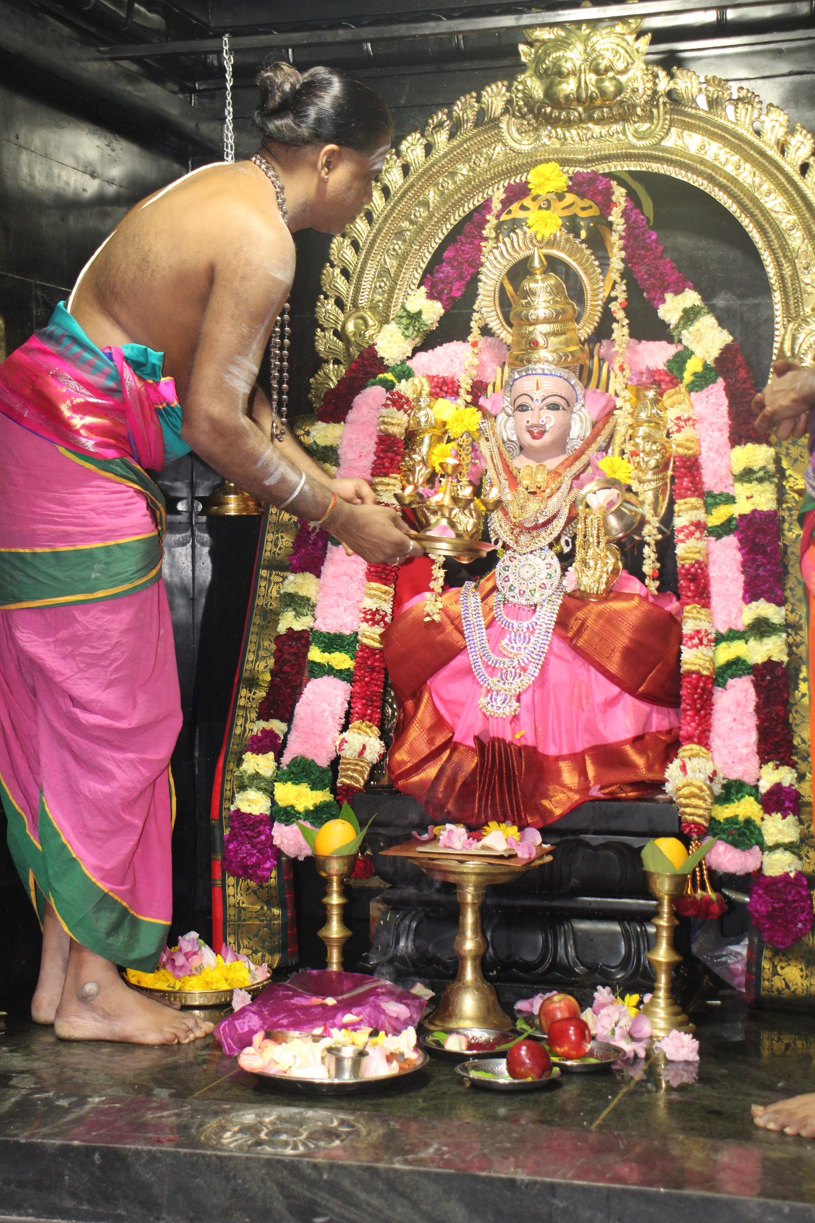 Ambal Festival 2026 photo