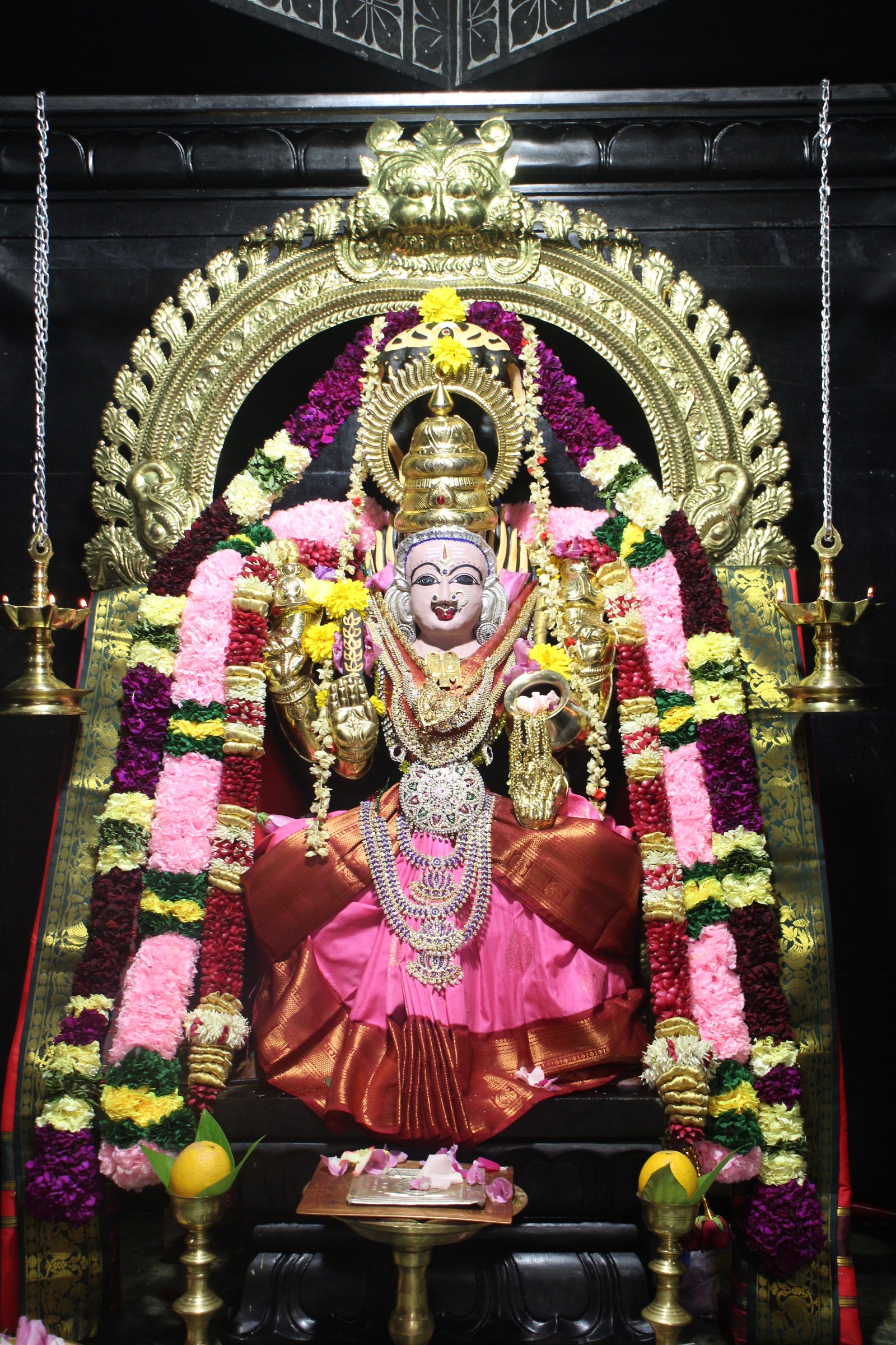 Ambal Festival 2026 photo