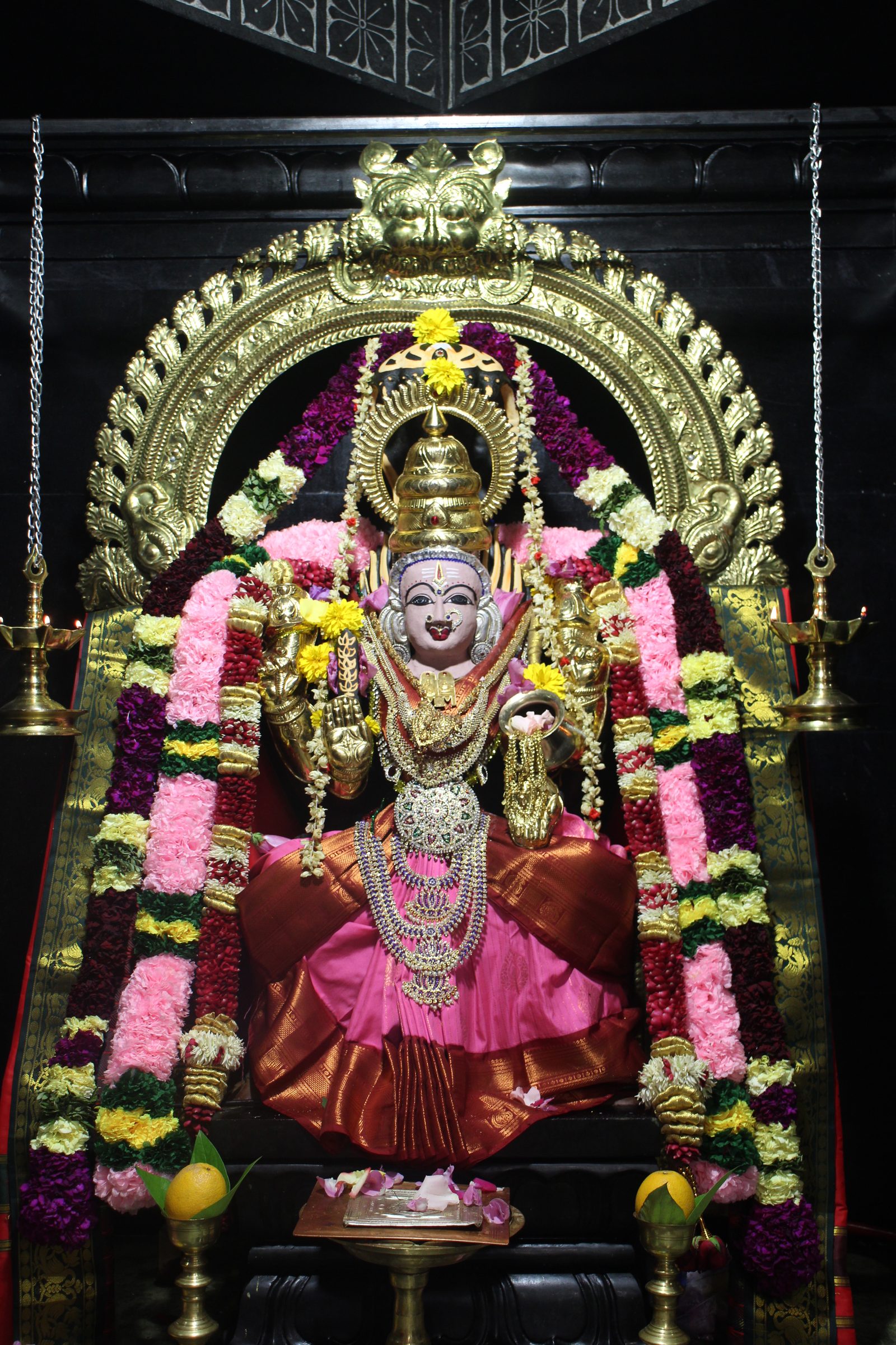 Ambal Festival 2026 photo