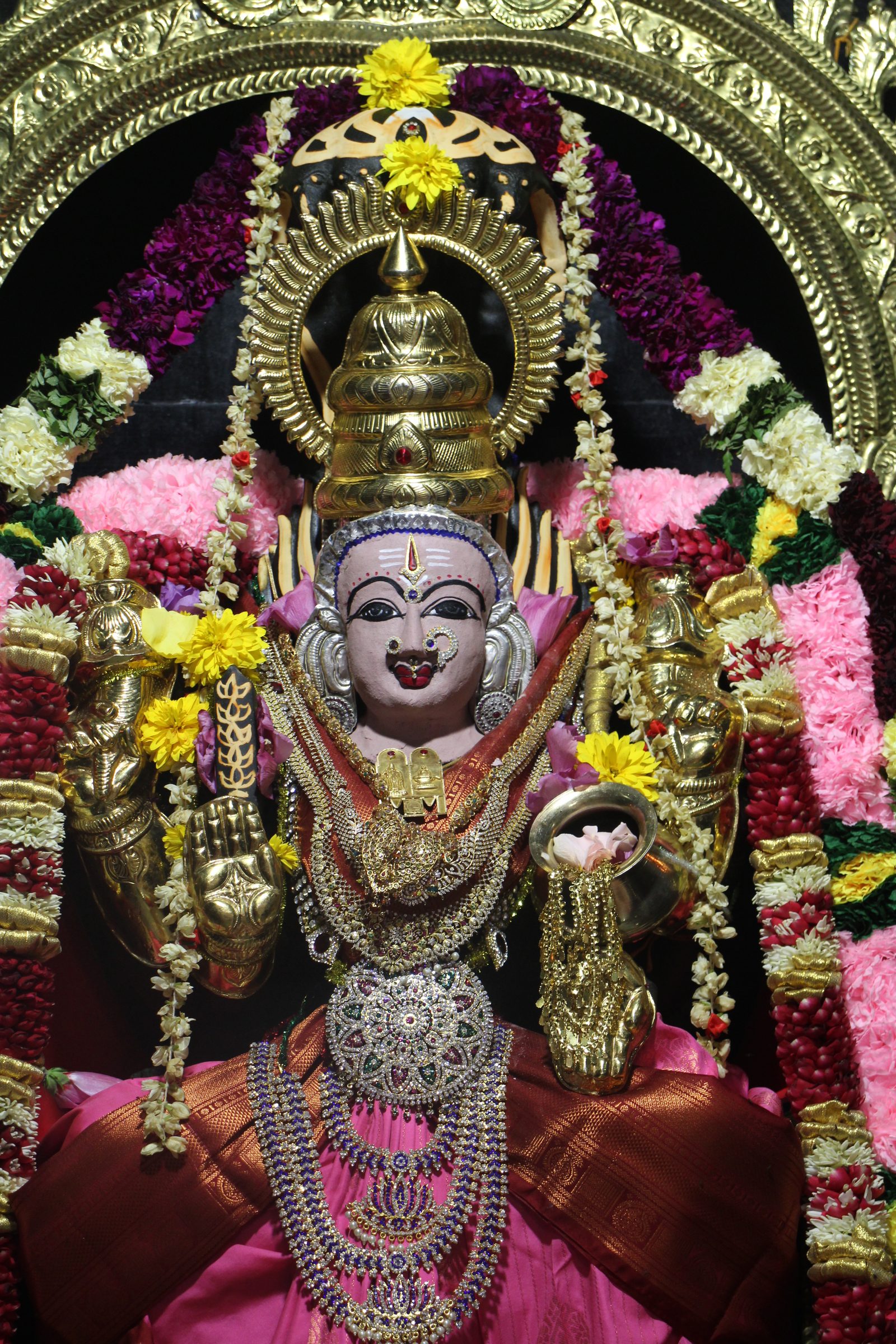Ambal Festival 2026 photo