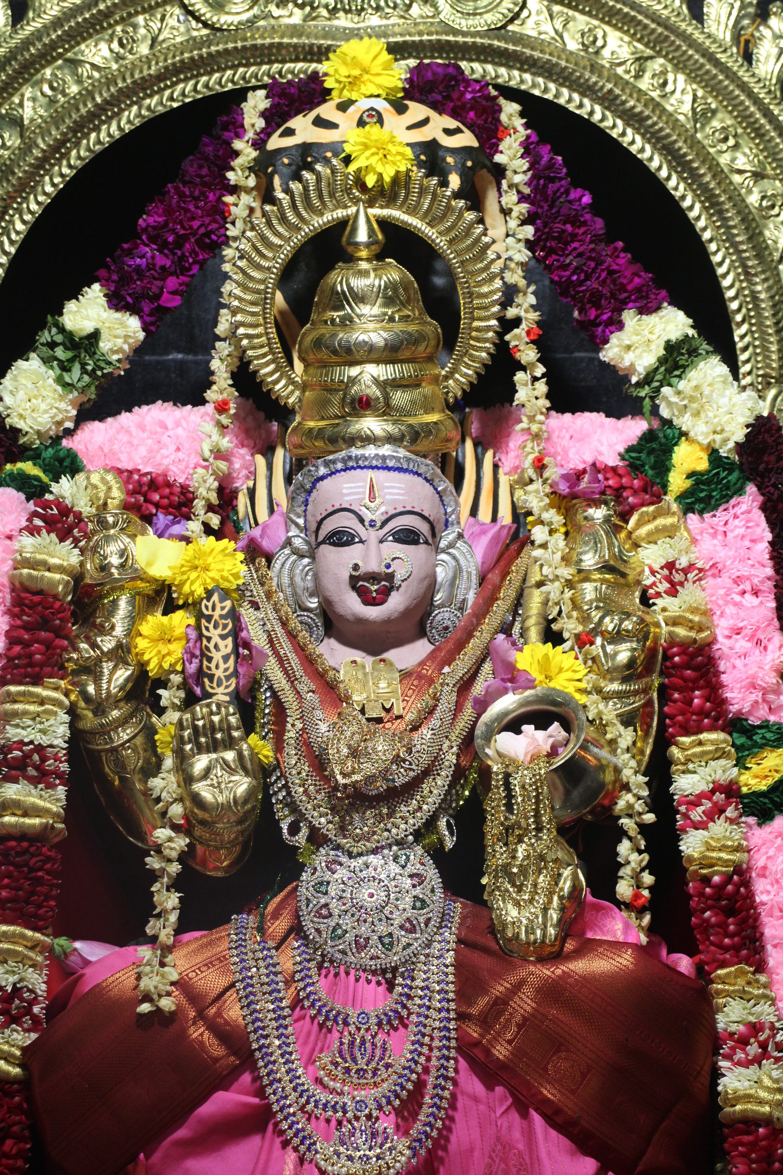 Ambal Festival 2026 photo