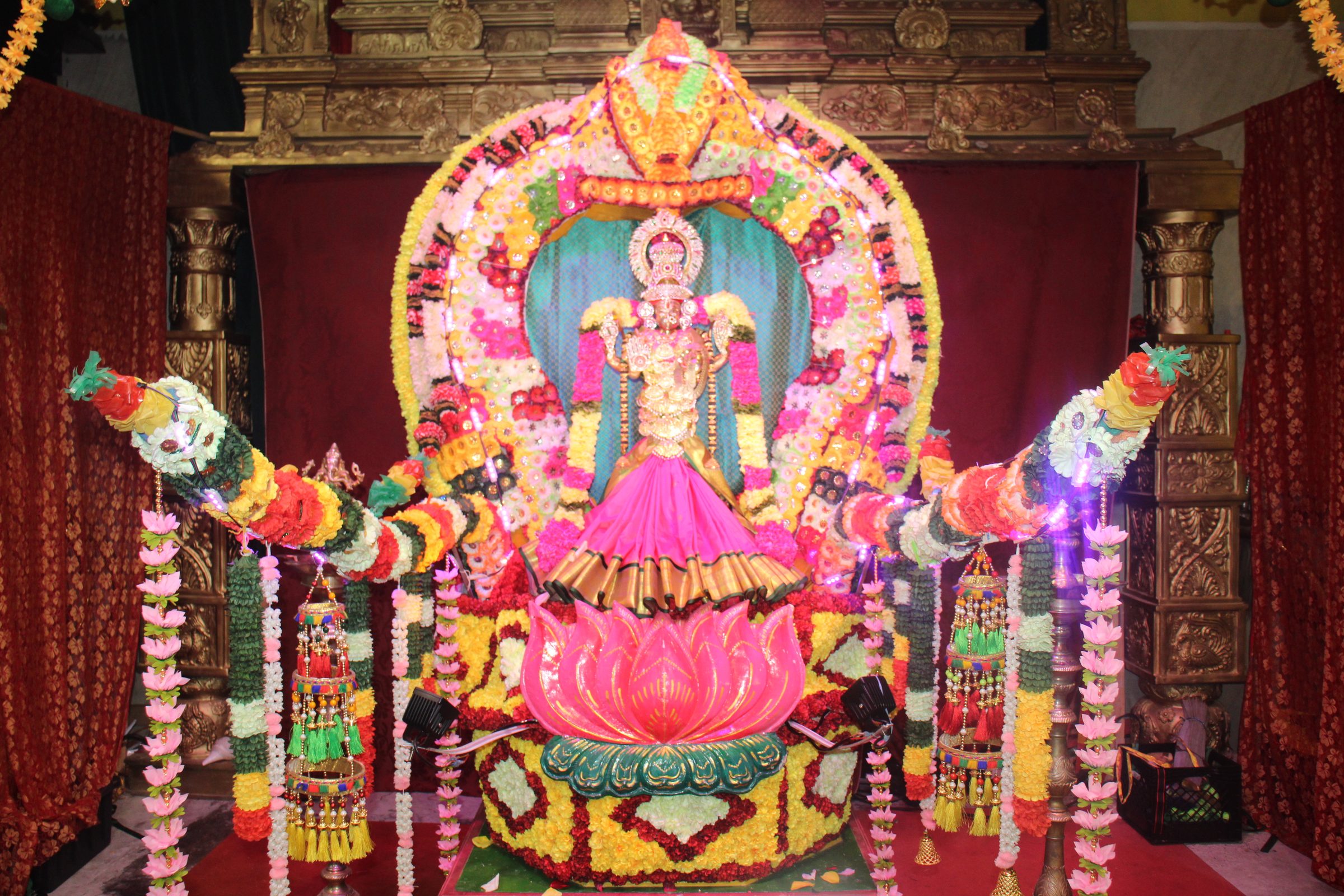 Ambal Festival 2026 photo