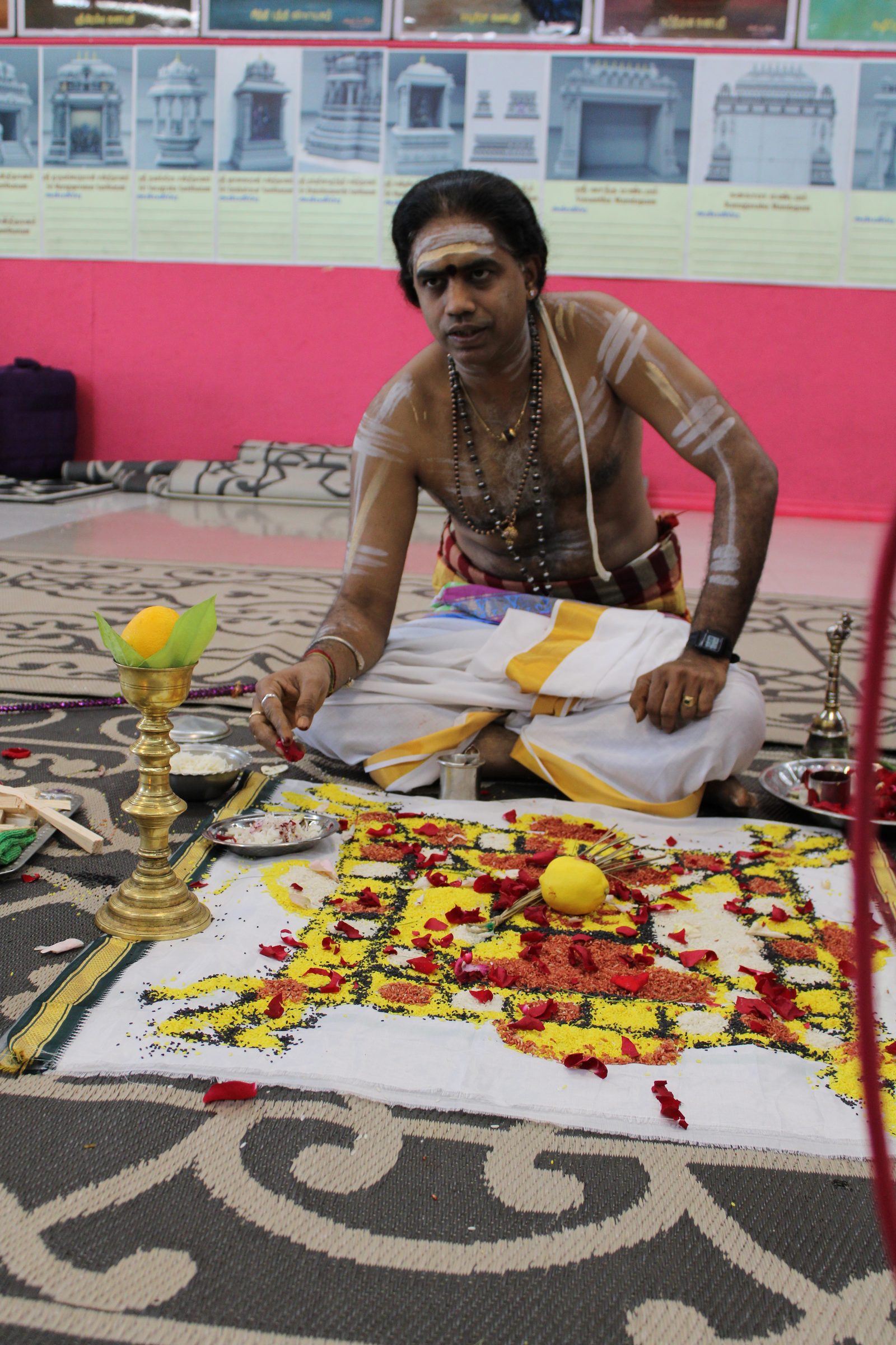 Festival 2024 photo