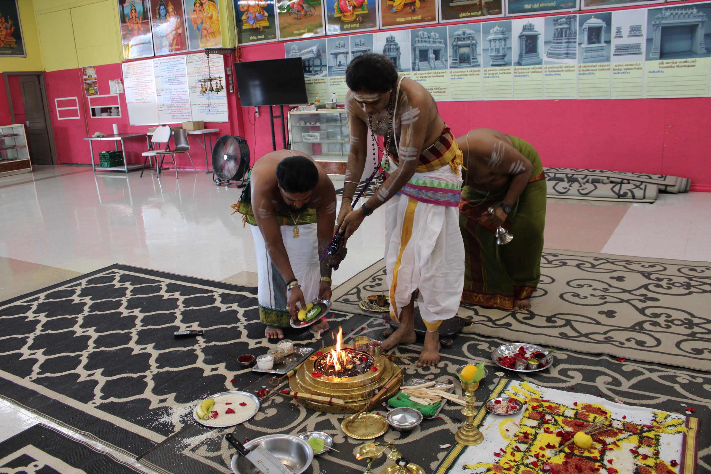 Festival 2024 photo